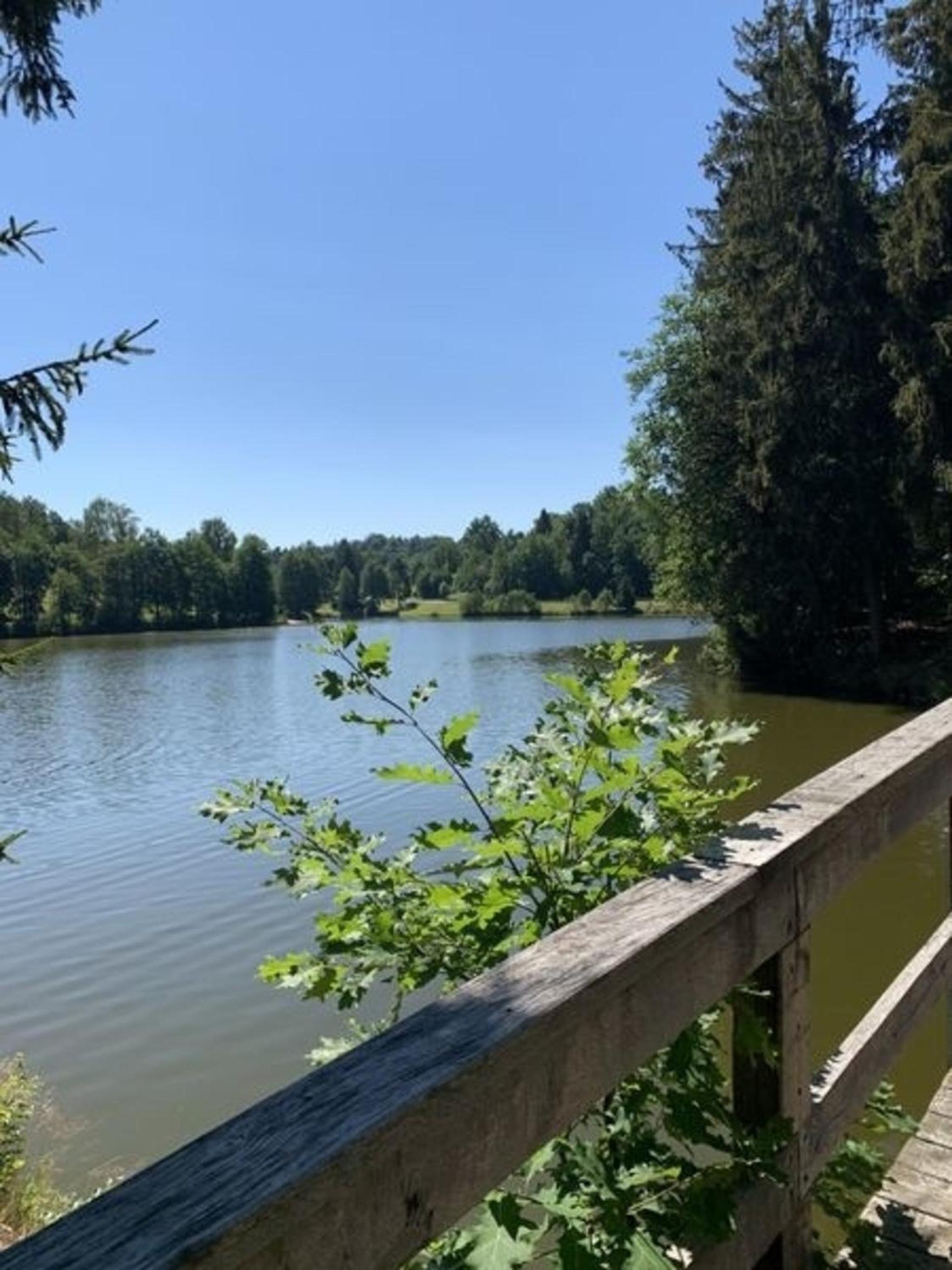 Ferienland Sonnenwald FEWO 5