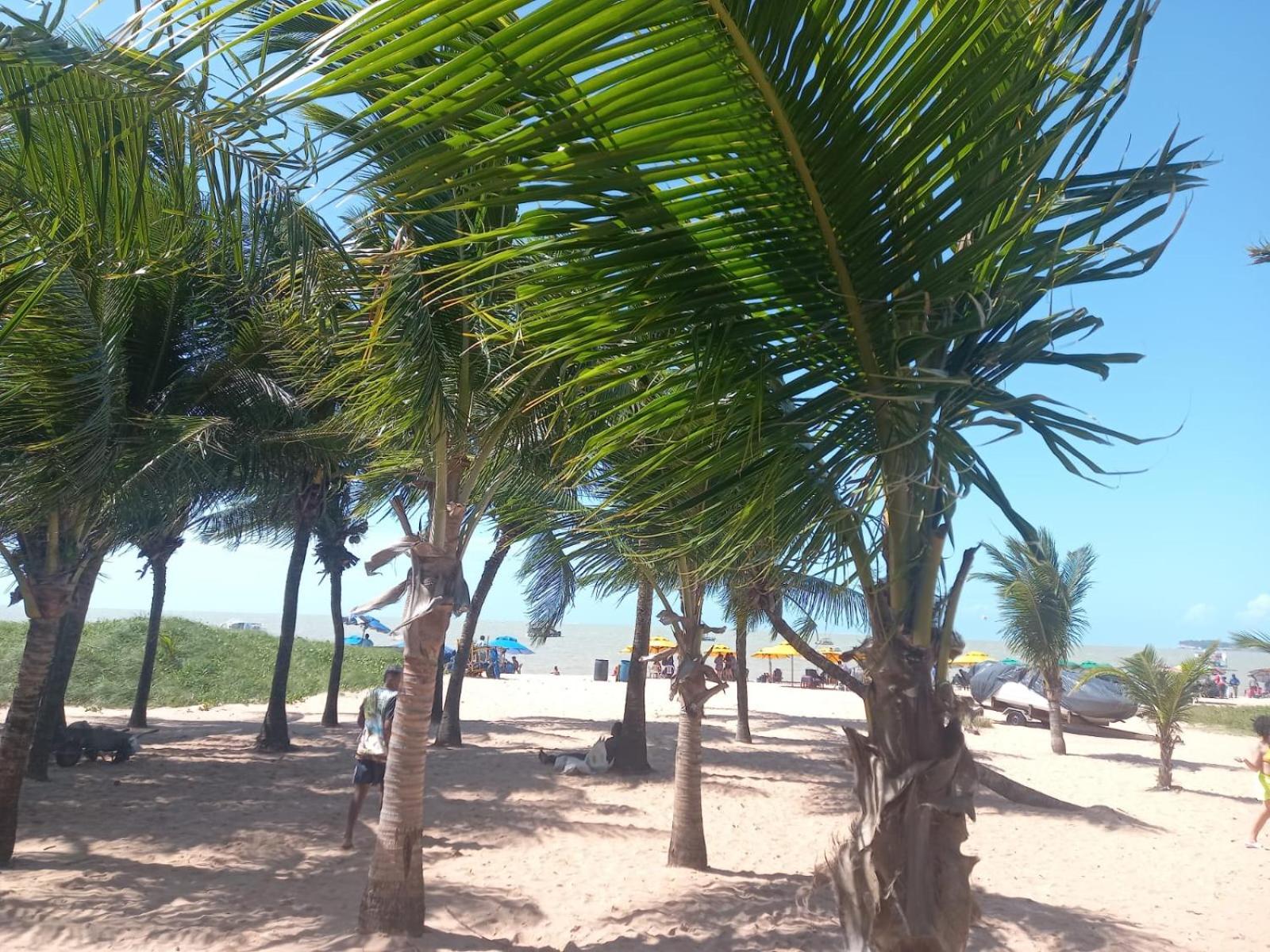 Flat Vista do Mar do Caribessa