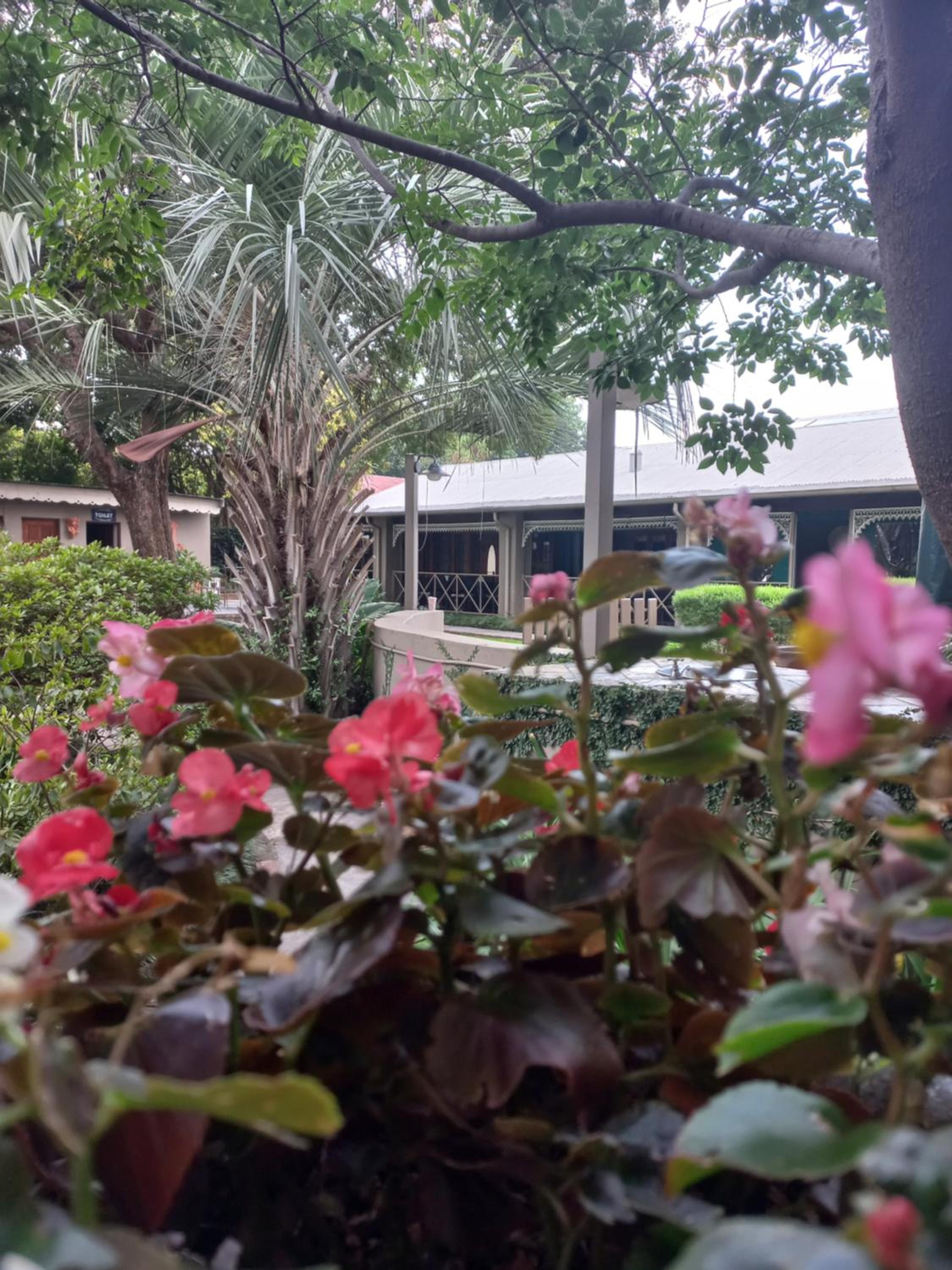J'Cups Guest House