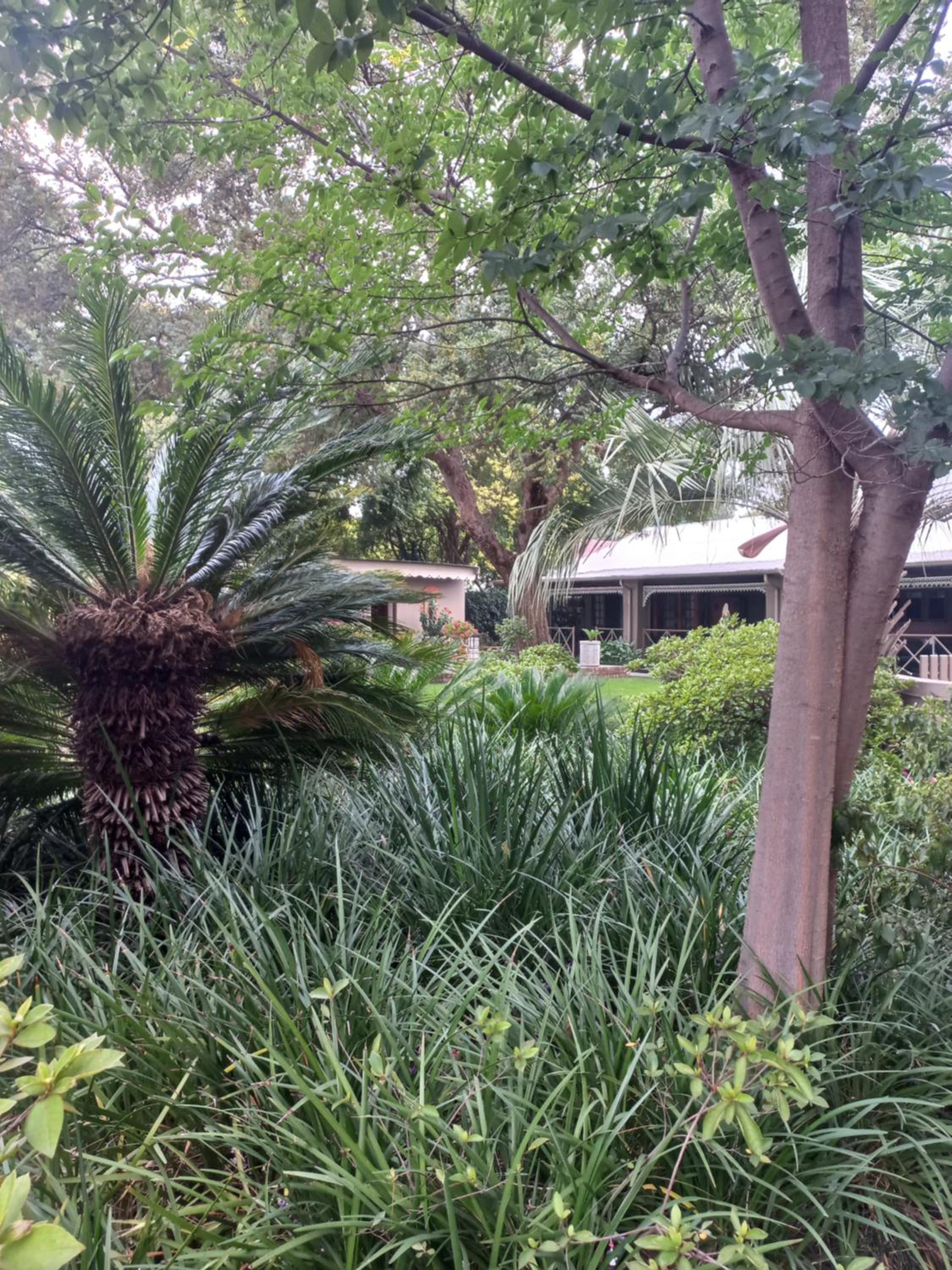 J'Cups Guest House