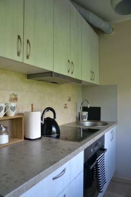Riverside Apartment Riia mnt