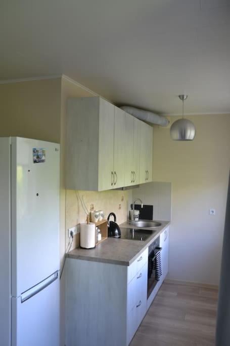 Riverside Apartment Riia mnt