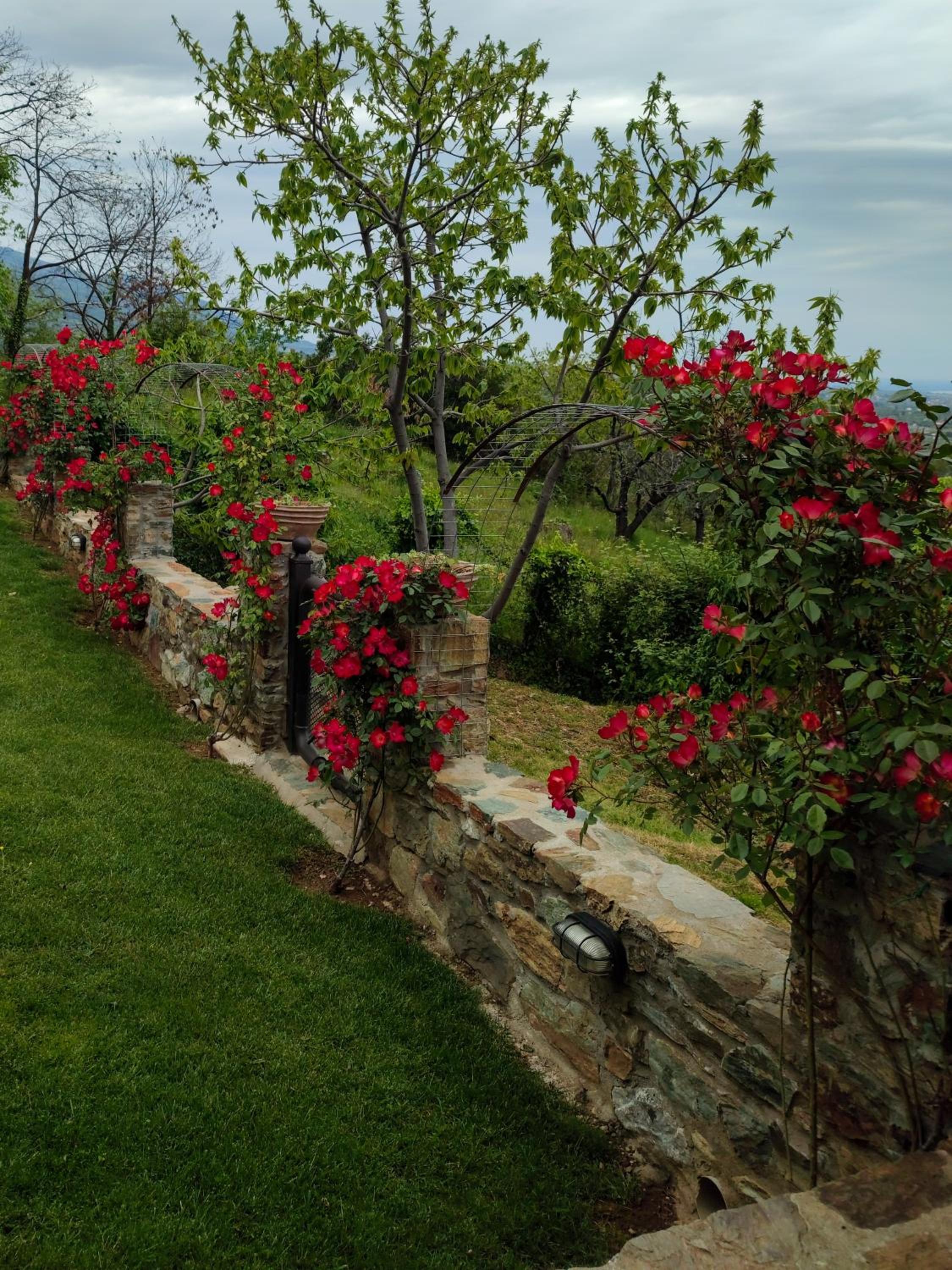 Villa Dionisos