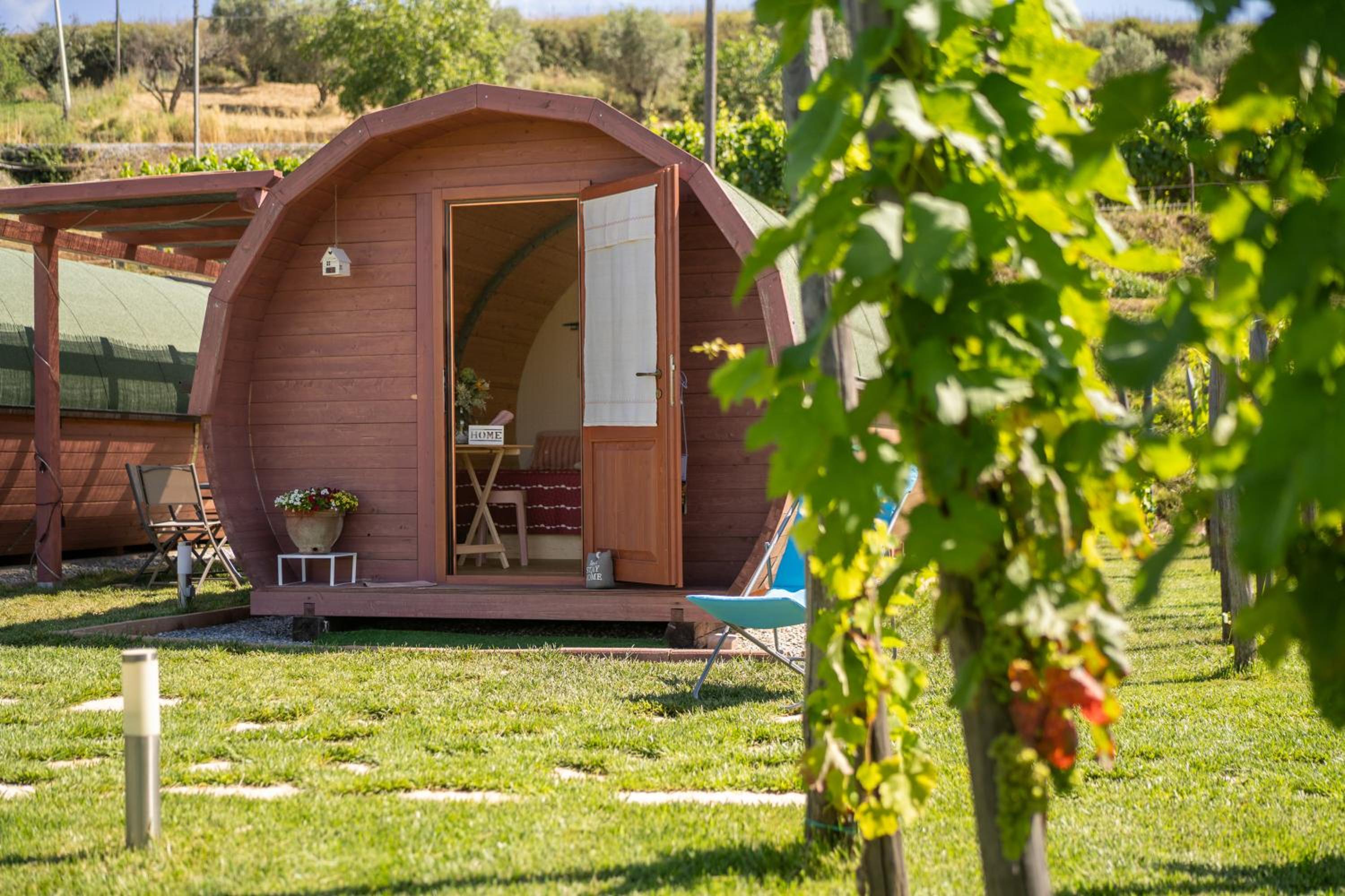 Dormire in una botte - Antiche Vigne Pironti view 4
