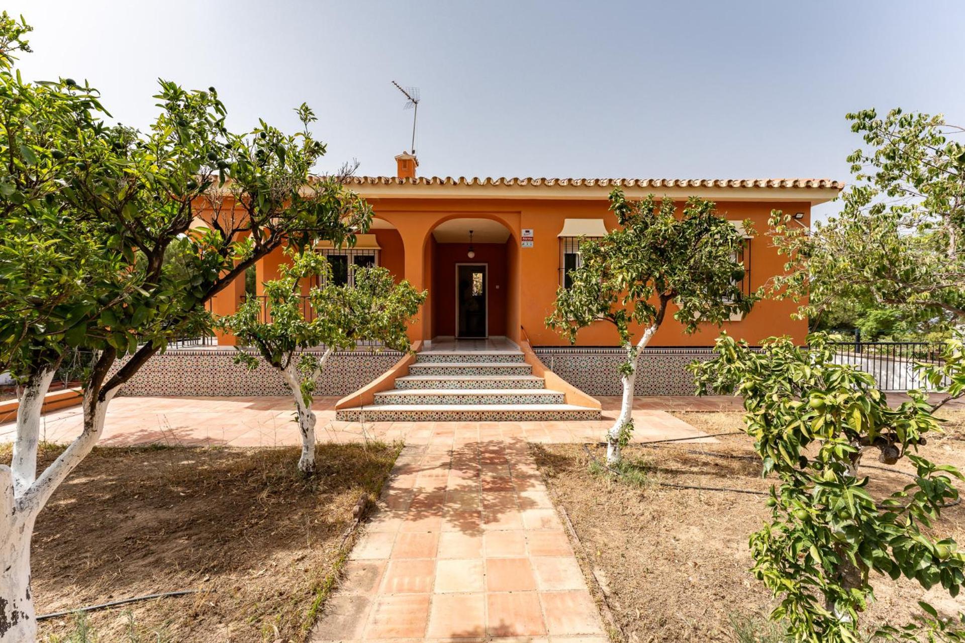 MalagaSuite Cortijo Pinos de Alhaurin