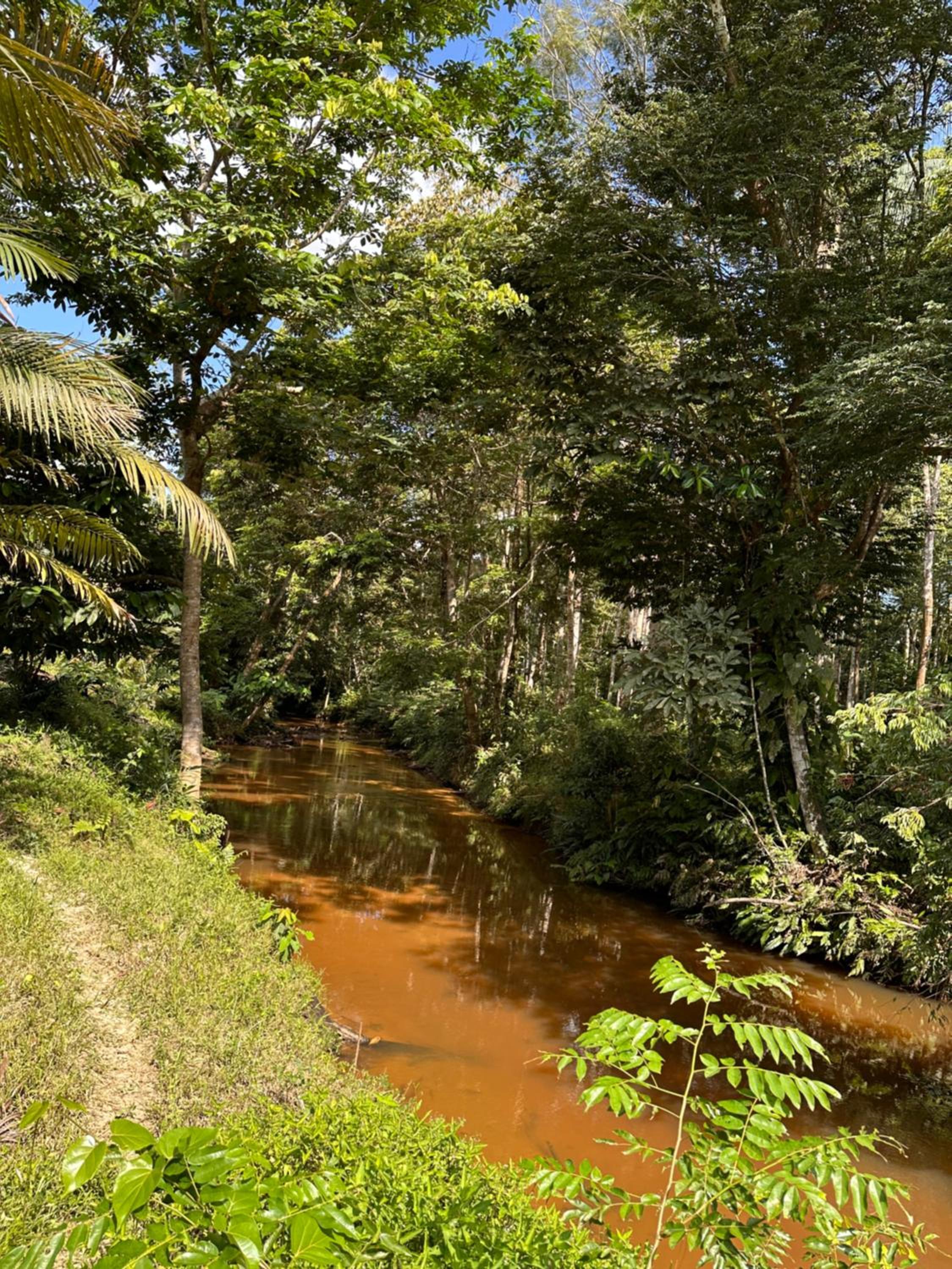 Reserva Îkü Amazonas