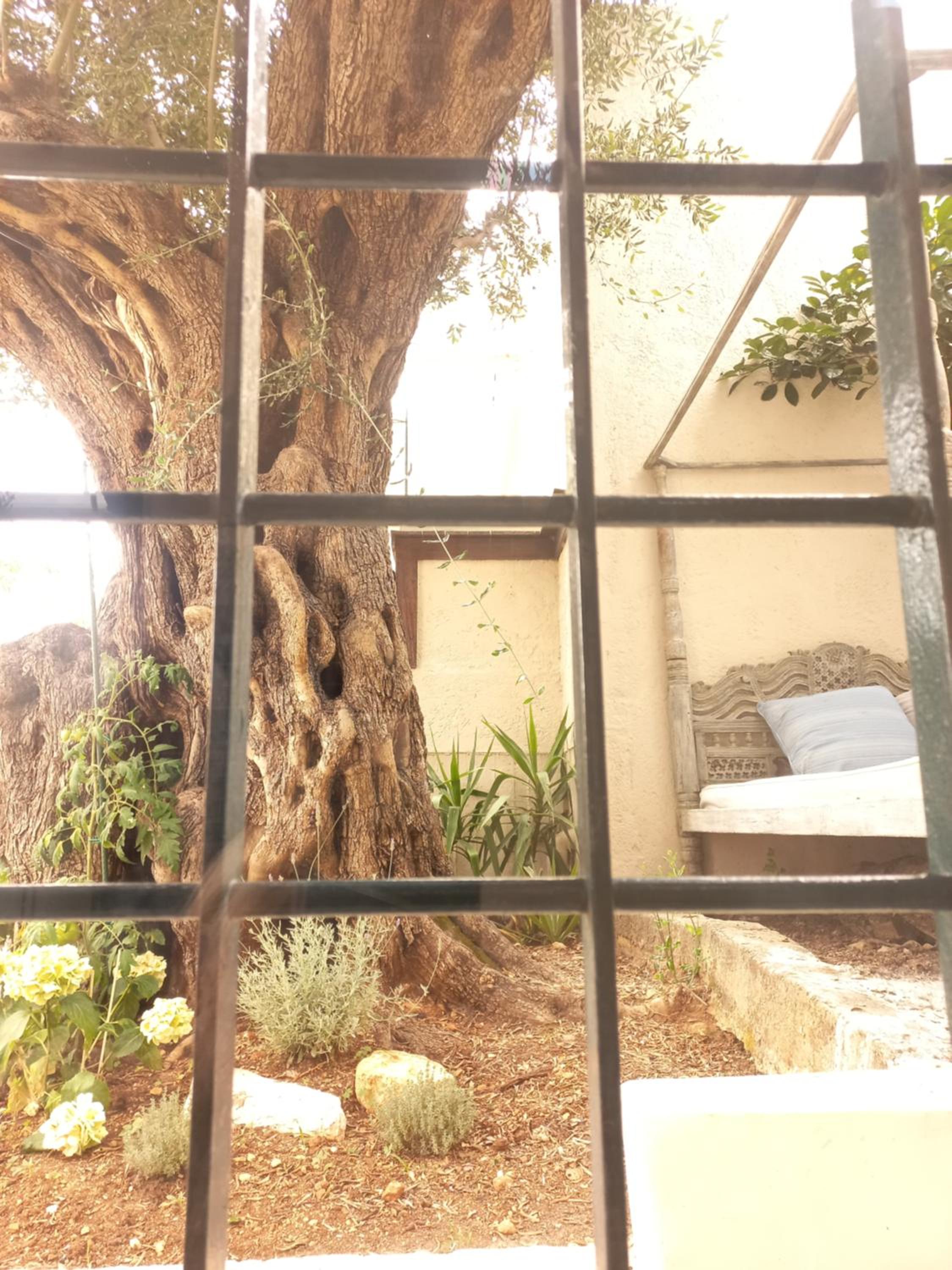 Vila Iremia view 2
