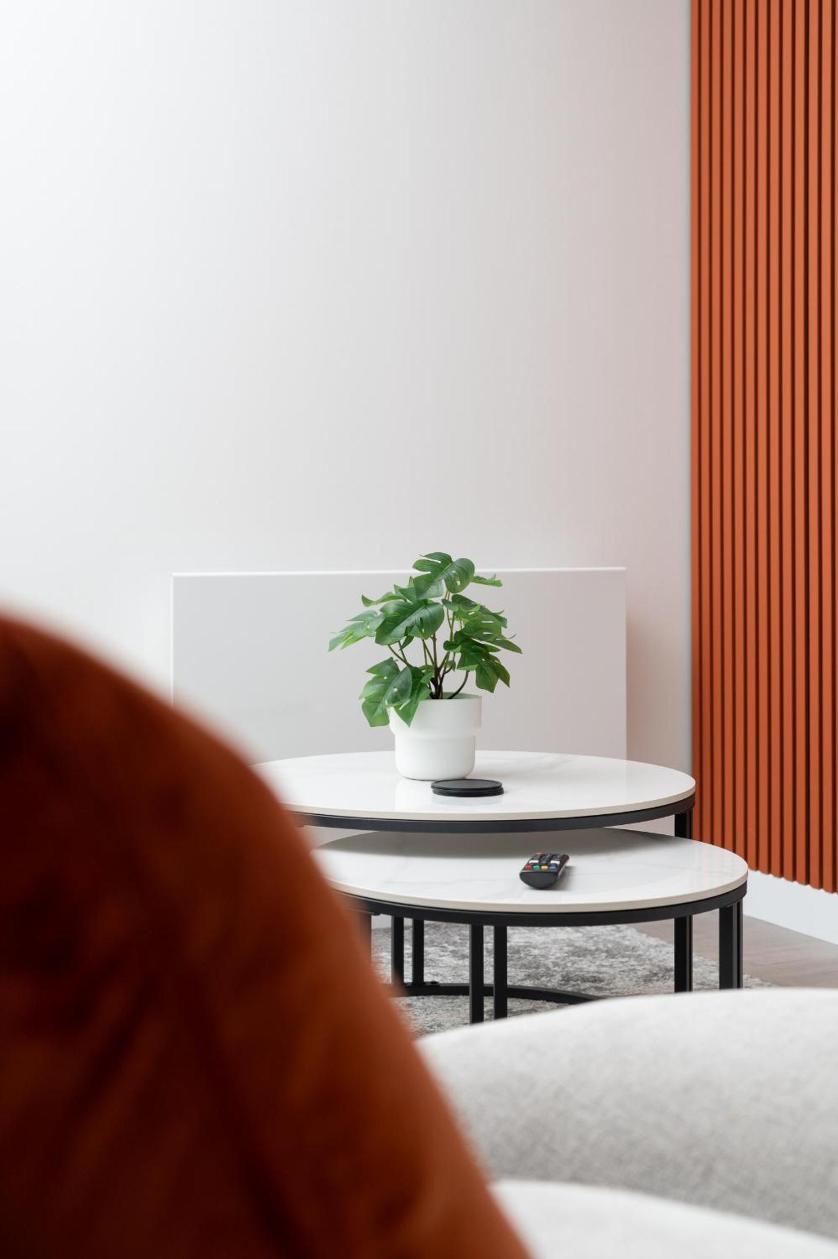 Modern Flat with Parking - Last Min Deals Available view 3