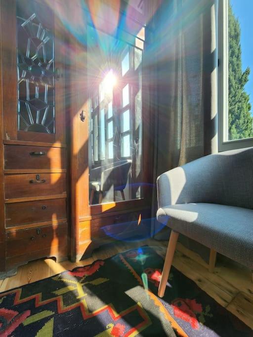 Asatiani windows