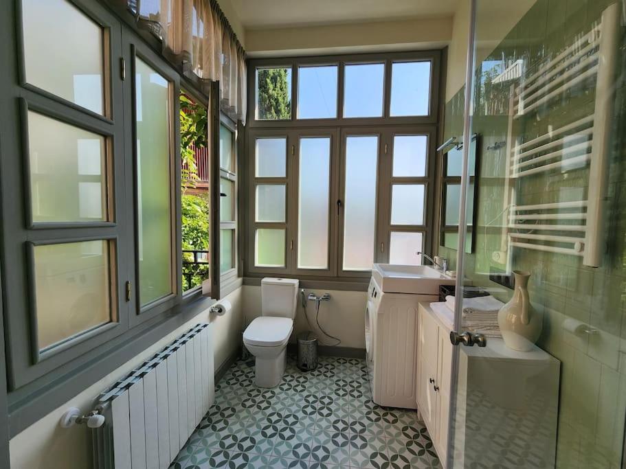 Asatiani windows