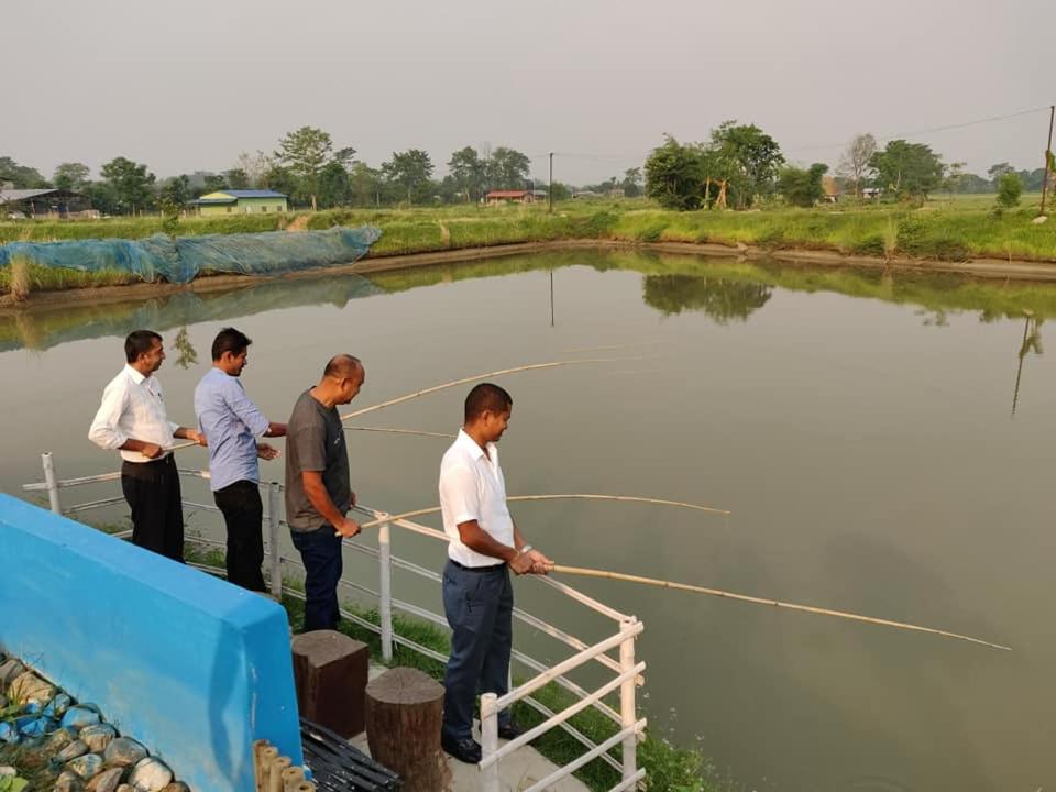 Fish O Farm Guest House