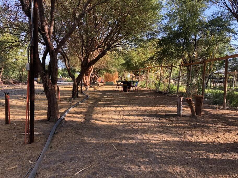 Alojamiento turístico en el desierto de Atacama - Tarapacá - La Tirana - Chile