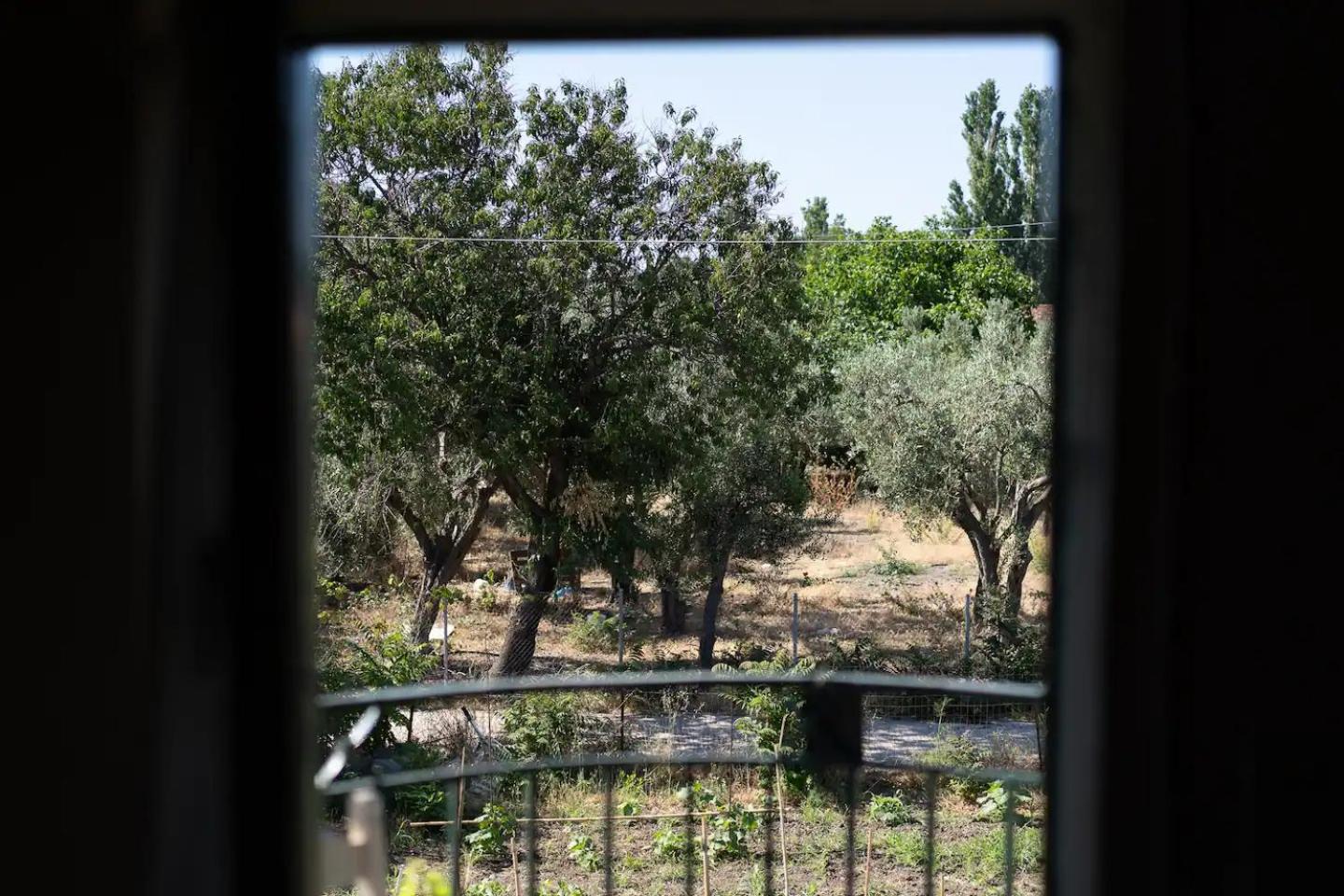 Photo 25