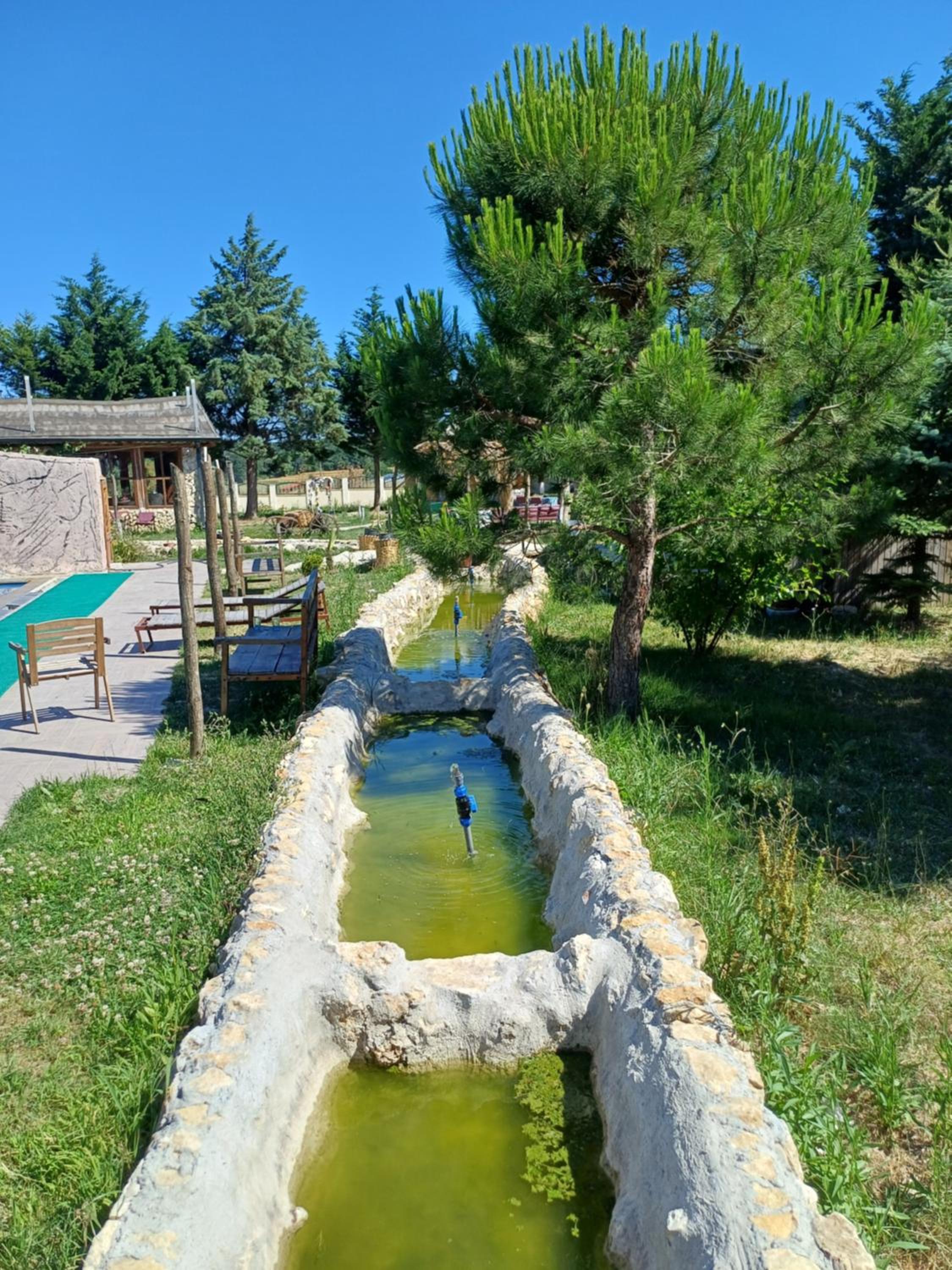 My Reset Farm
