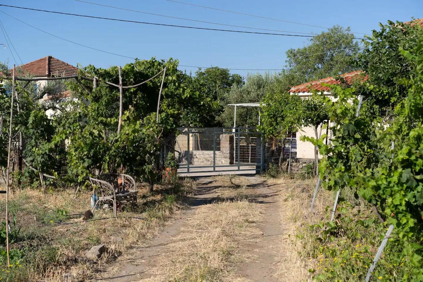 Photo 31