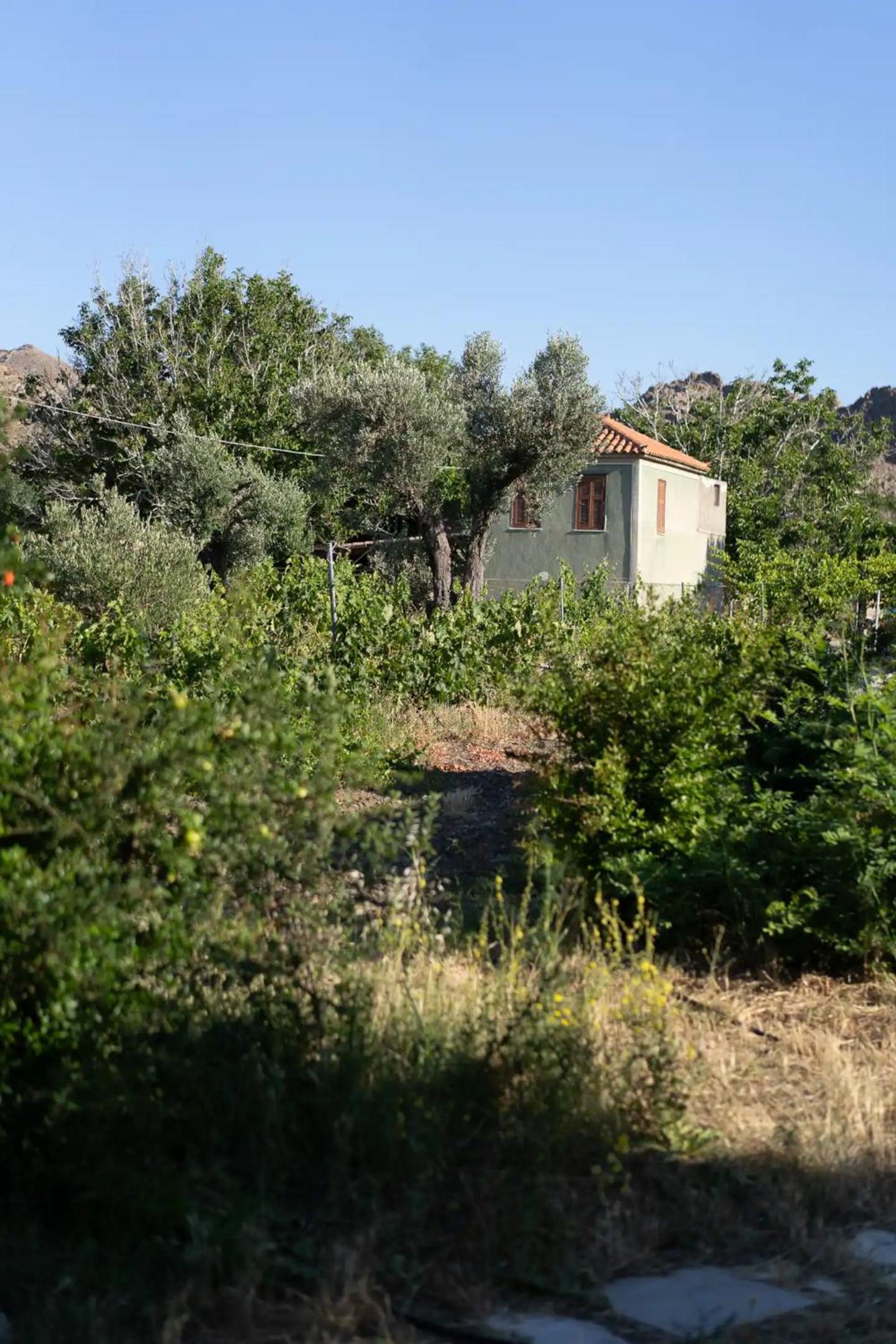 Photo 41