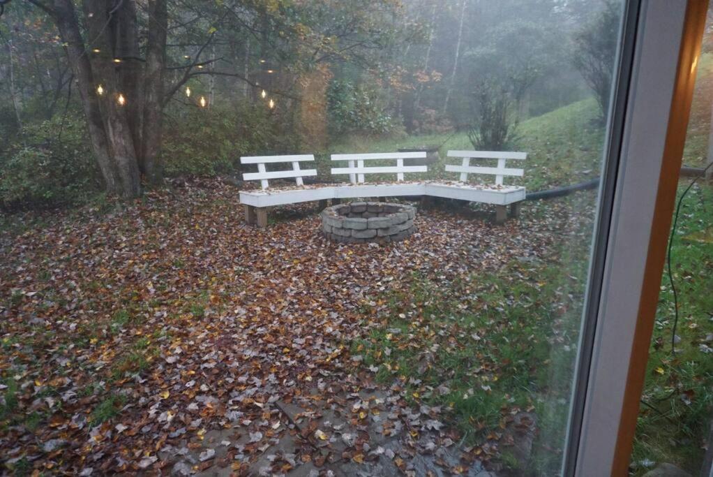 Photo 21