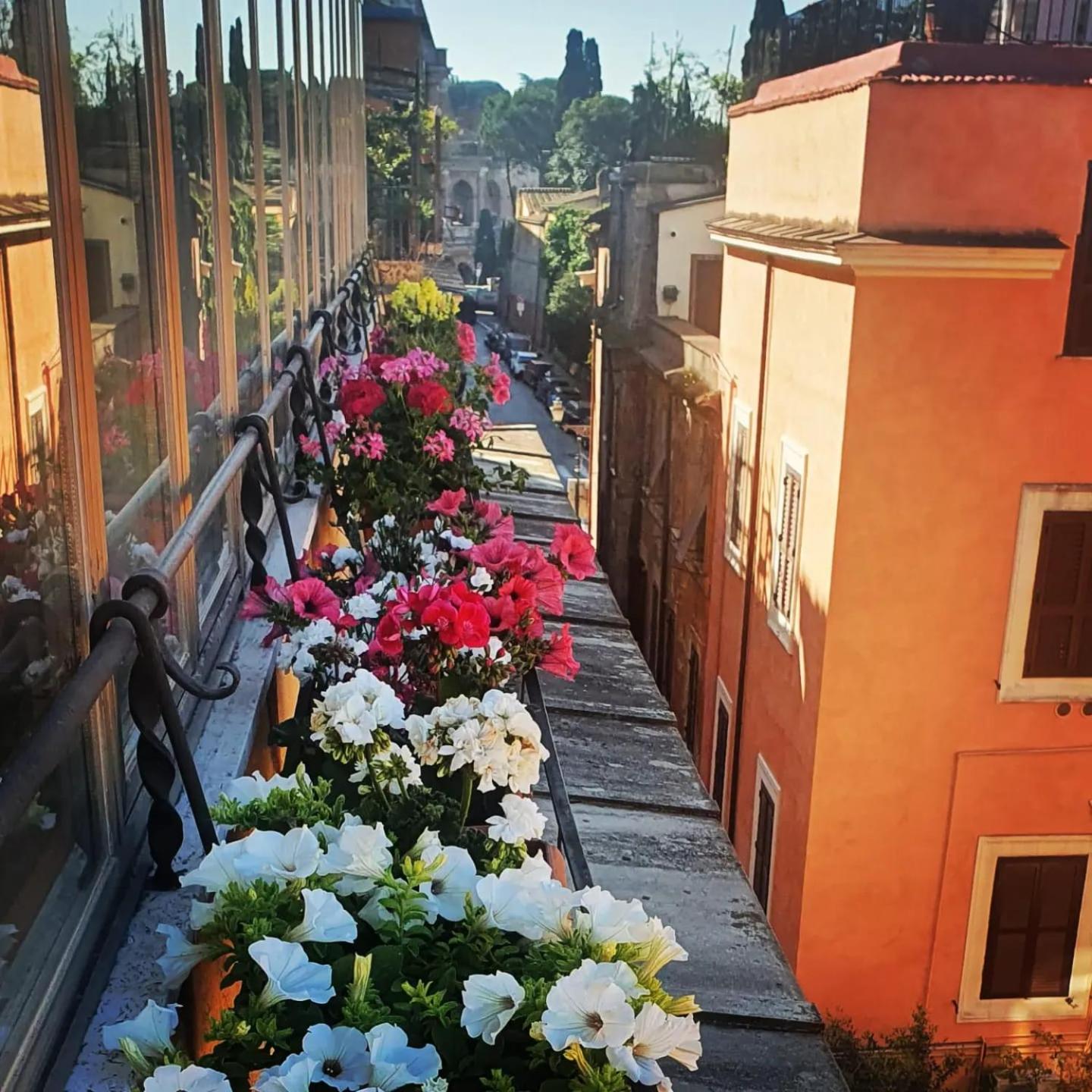 Roman Top Floor