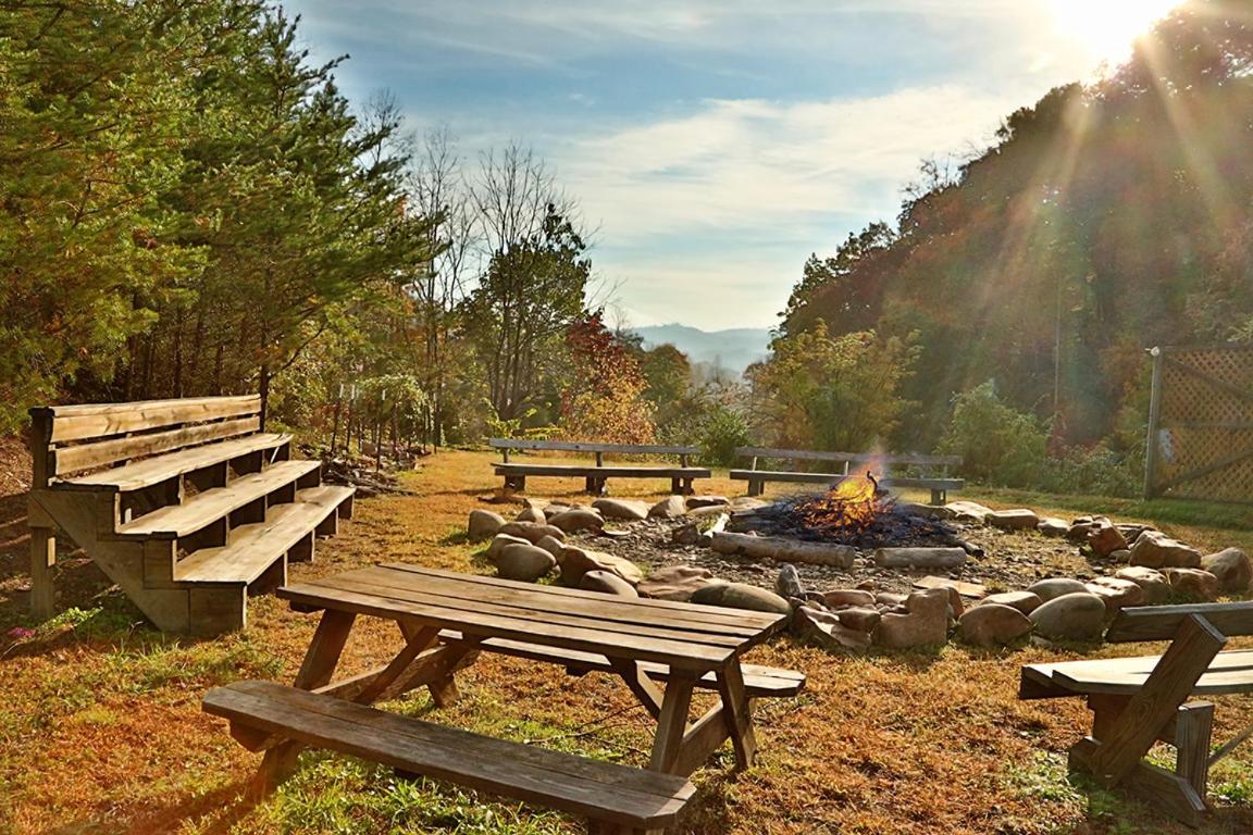 Holly Grove by Eden Crest - Property Image 12