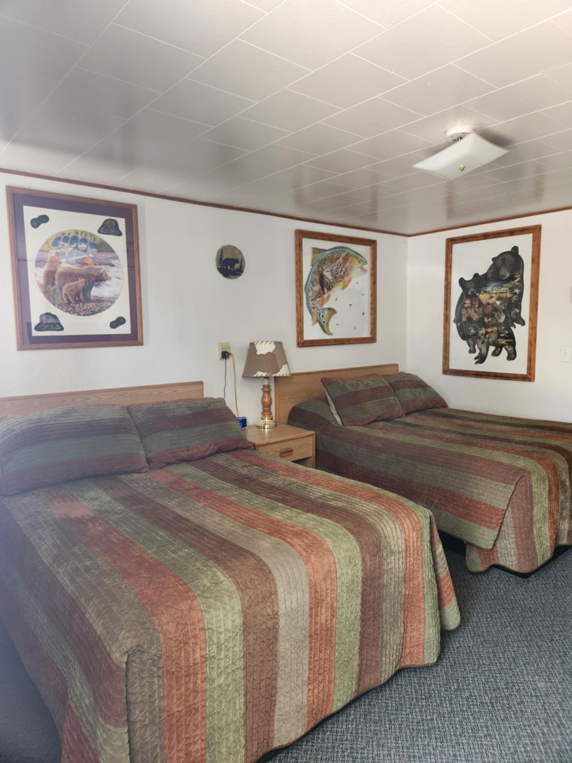 Antler Motel view 4