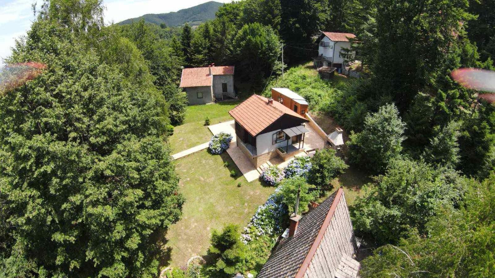 Photo 12