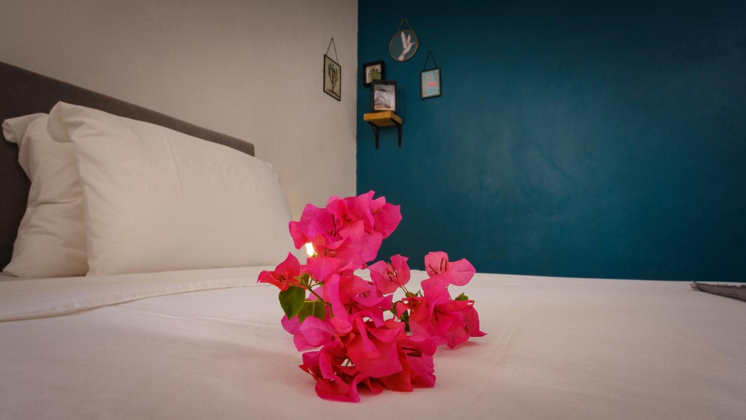 Saint Joris a tiny Boutique Resort