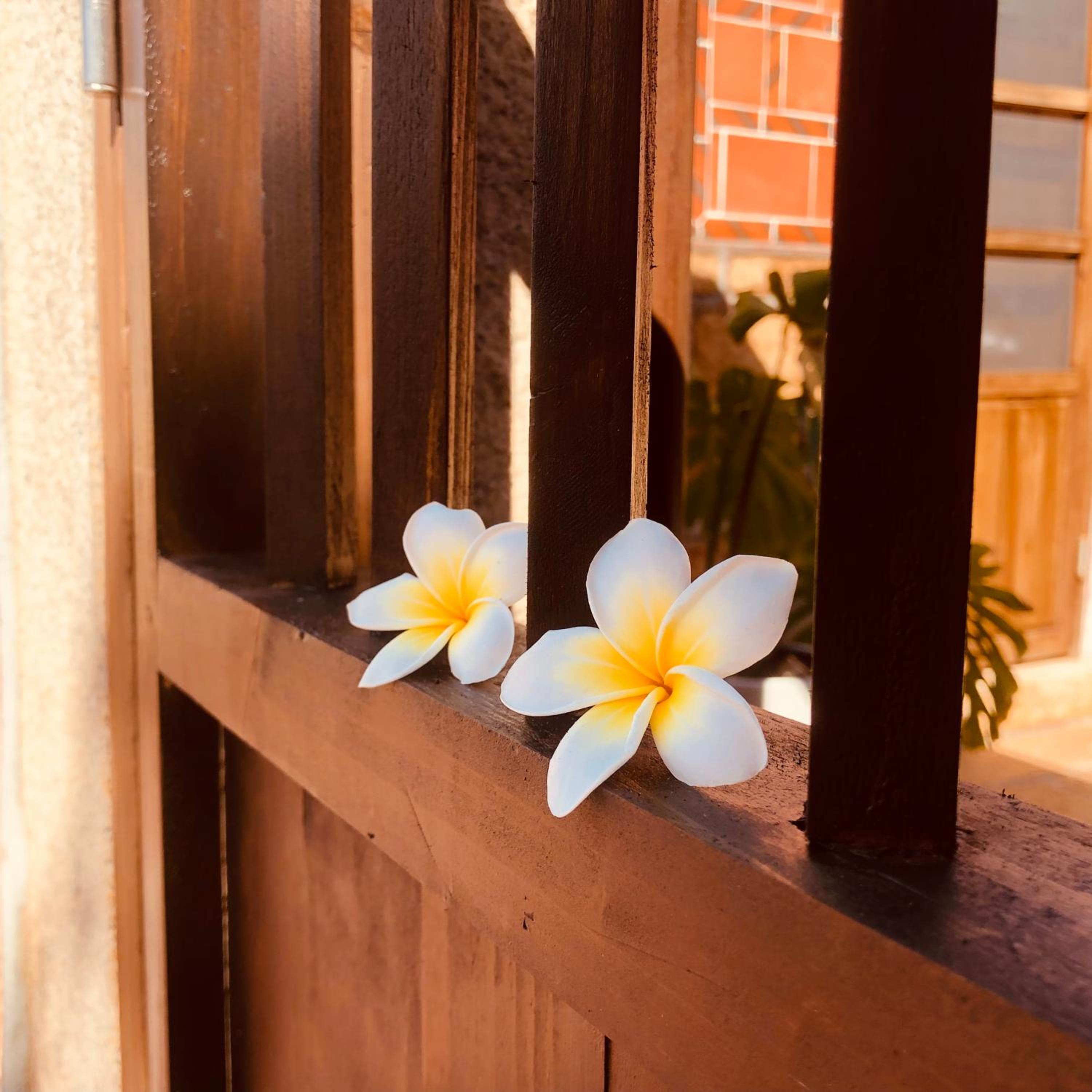 Wuzou Guesthouse