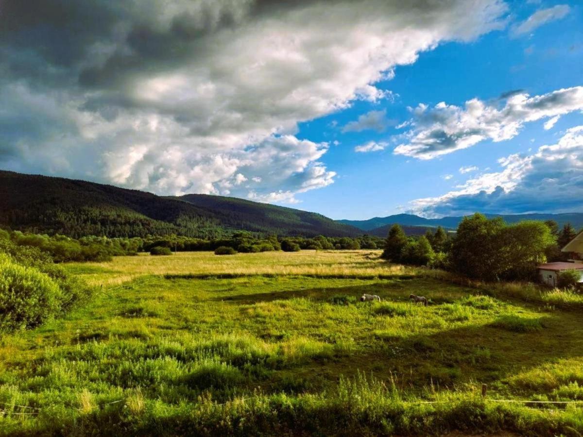 Photo 47