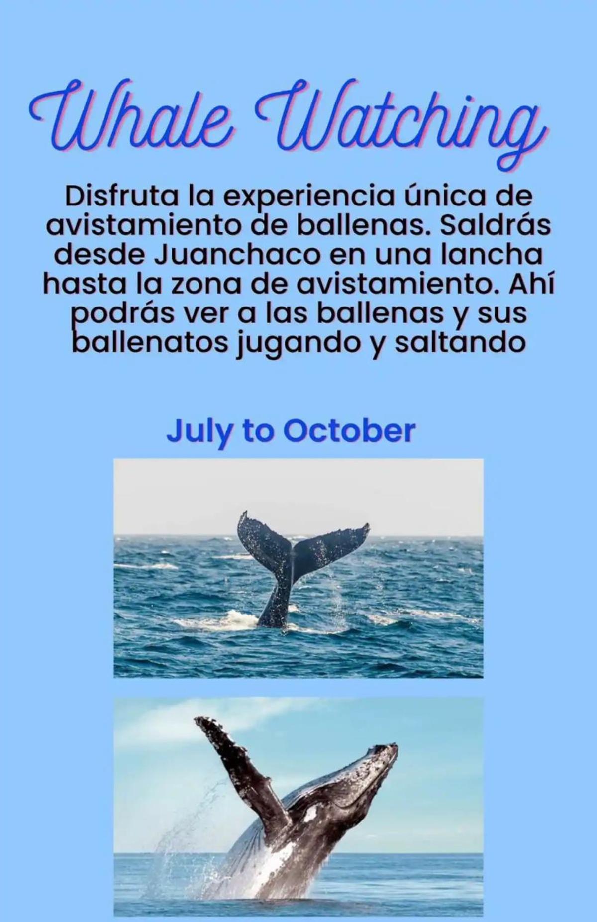 La finquita de jamgara
