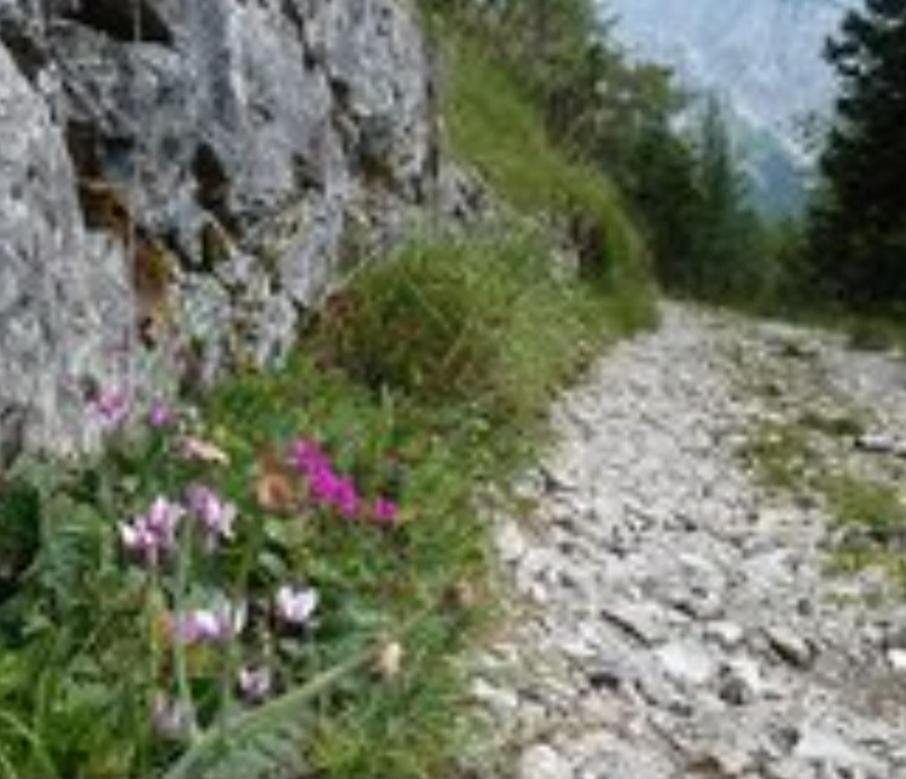 Photo 35
