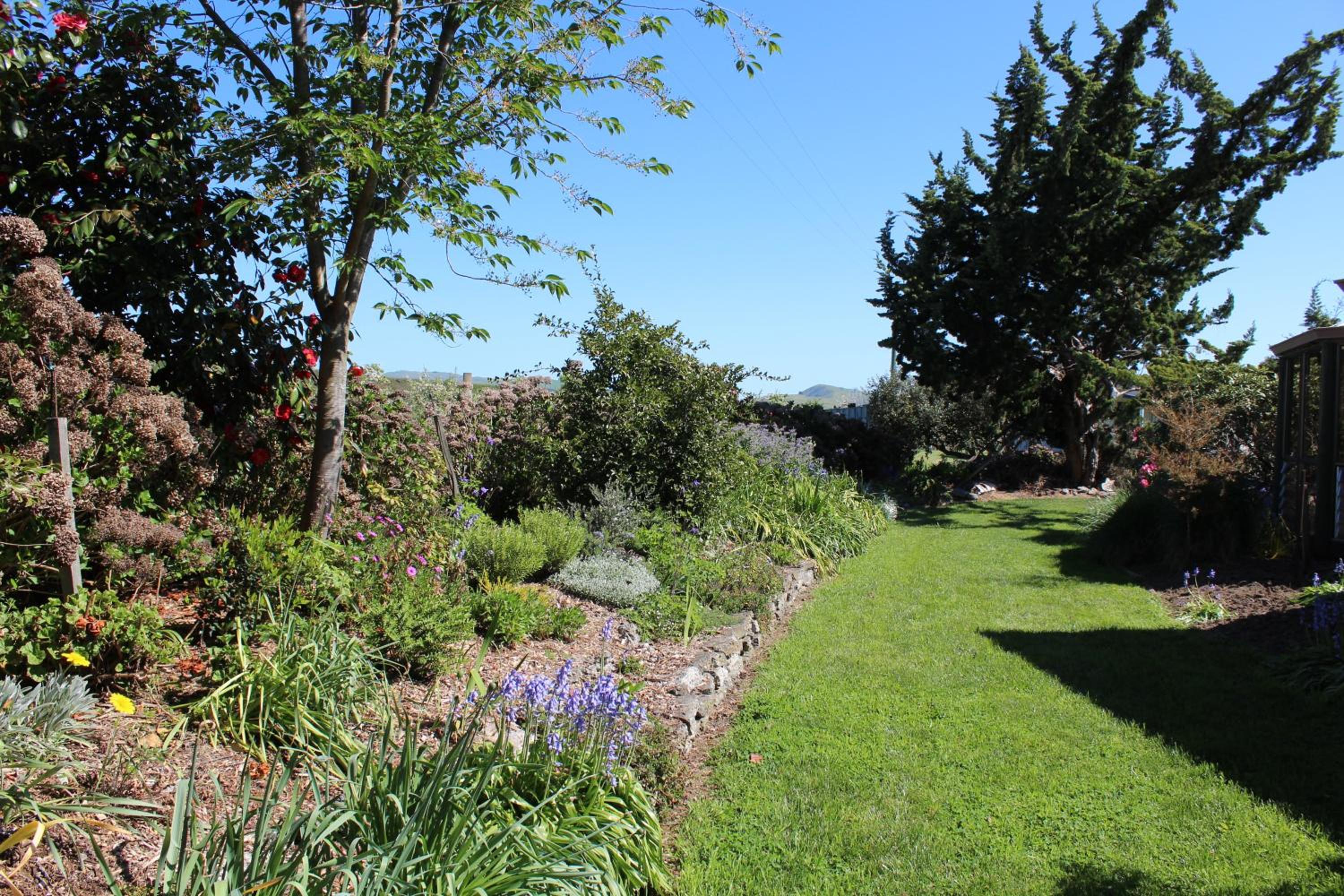 Bluebell Lodge and Cottage