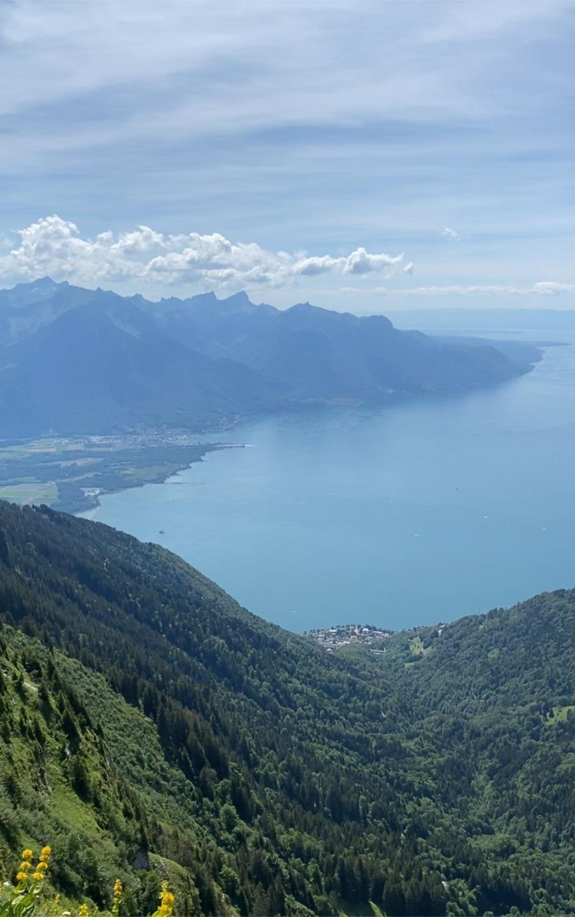 Close to Lake & Chillon Castle, New & Comfortable