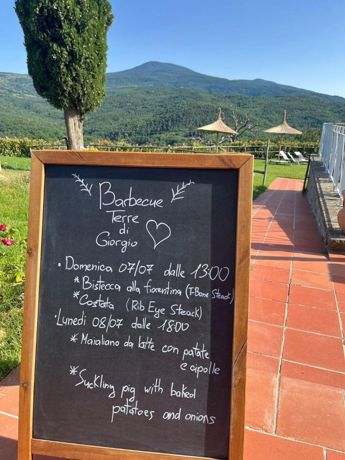 Terre di GIORGIO Agriturismo Villa la Palazzetta