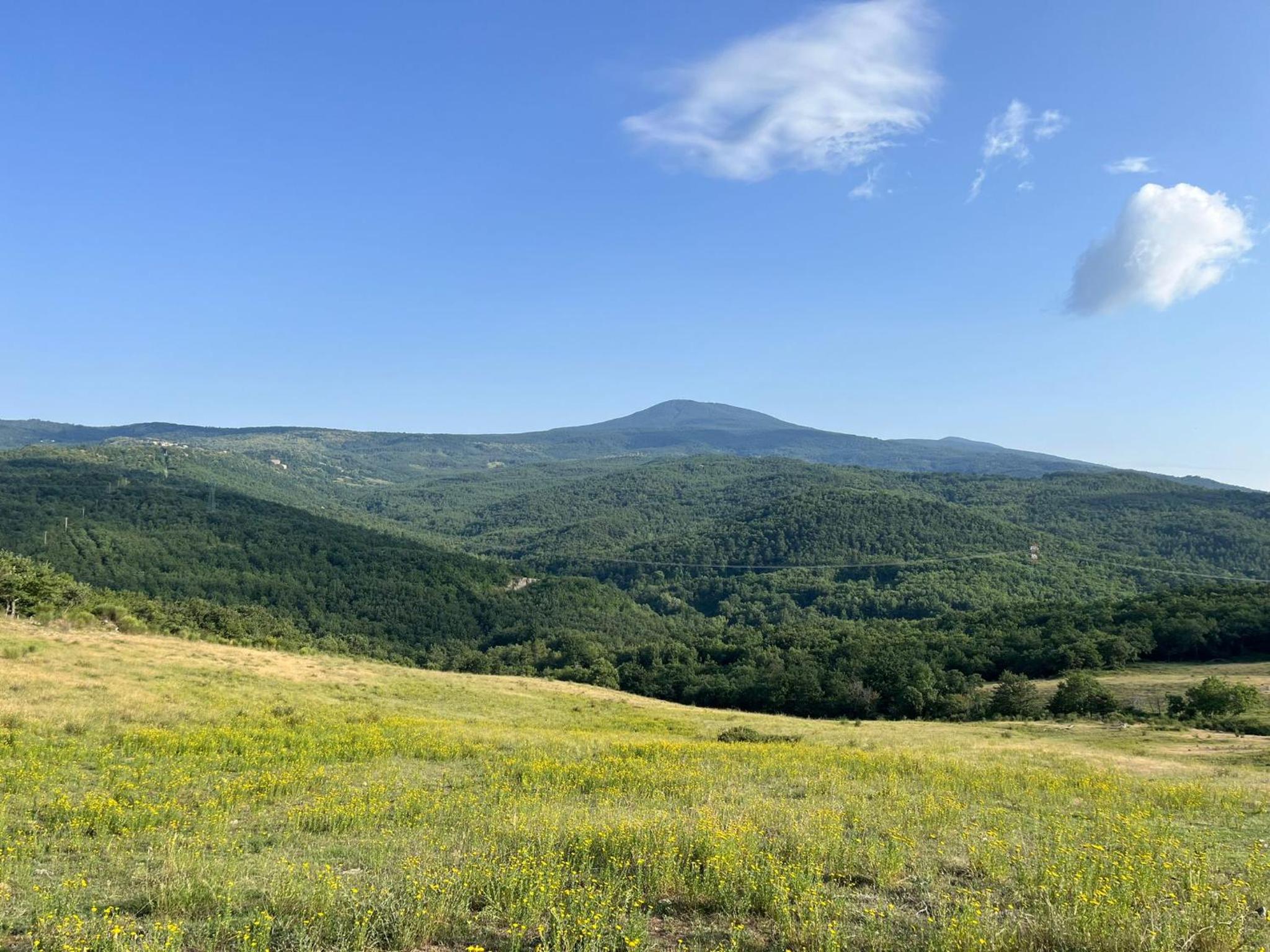 Terre di GIORGIO Agriturismo Villa la Palazzetta
