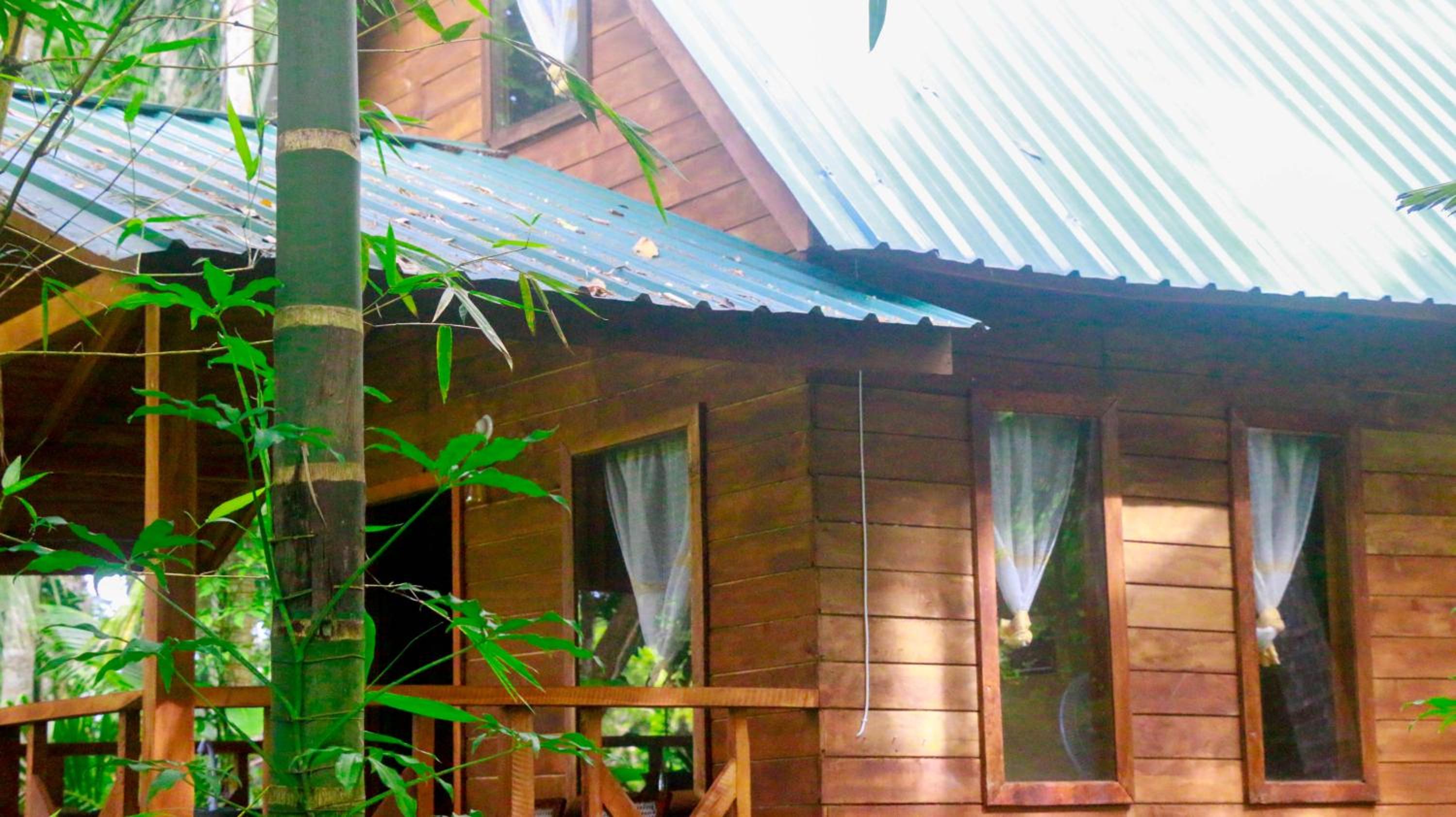 Birds Bliss Cabana view 2