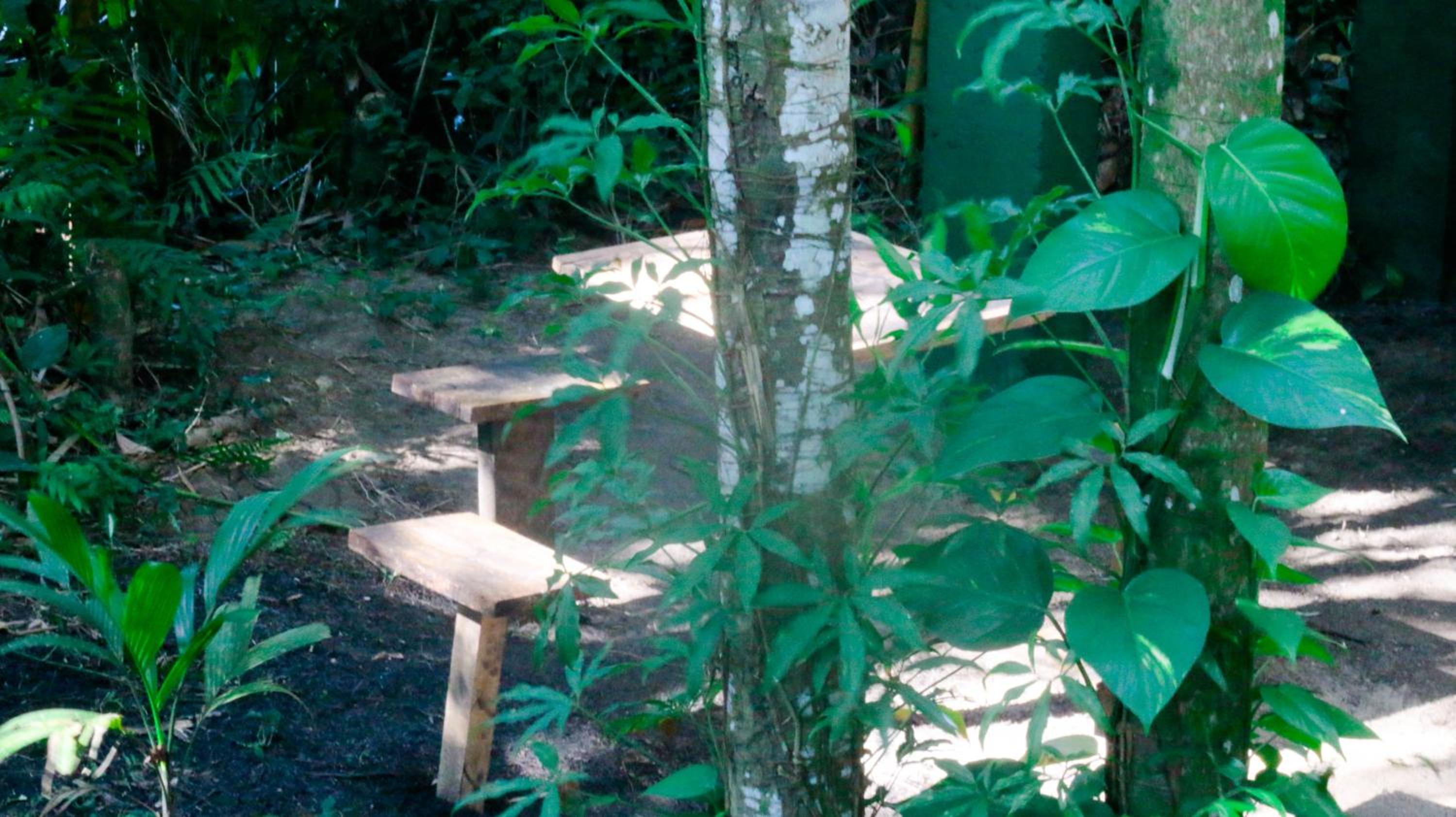 Photo 45