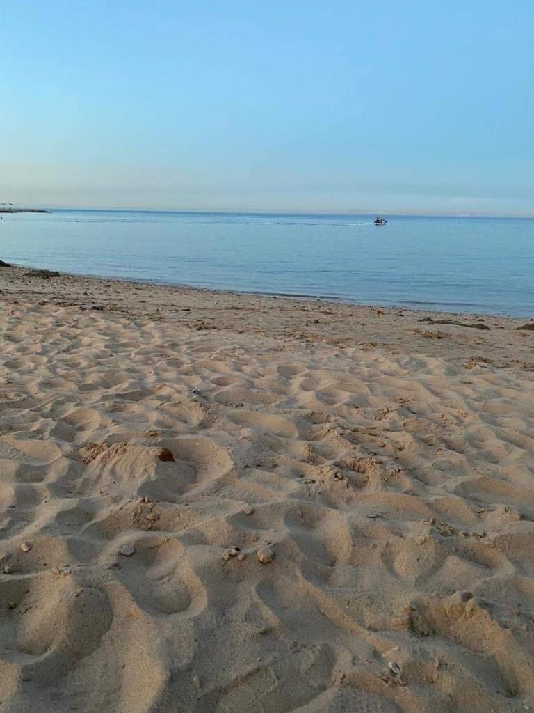 La jolie , ain sokhna view 4