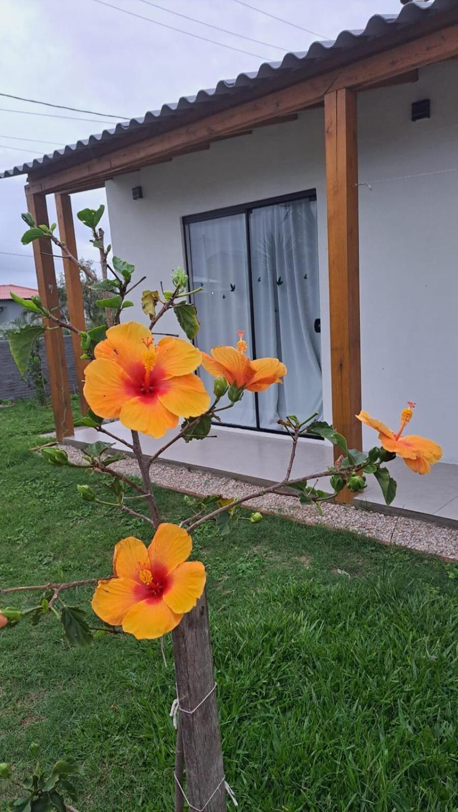 Casa Florida - Hermenegildo
