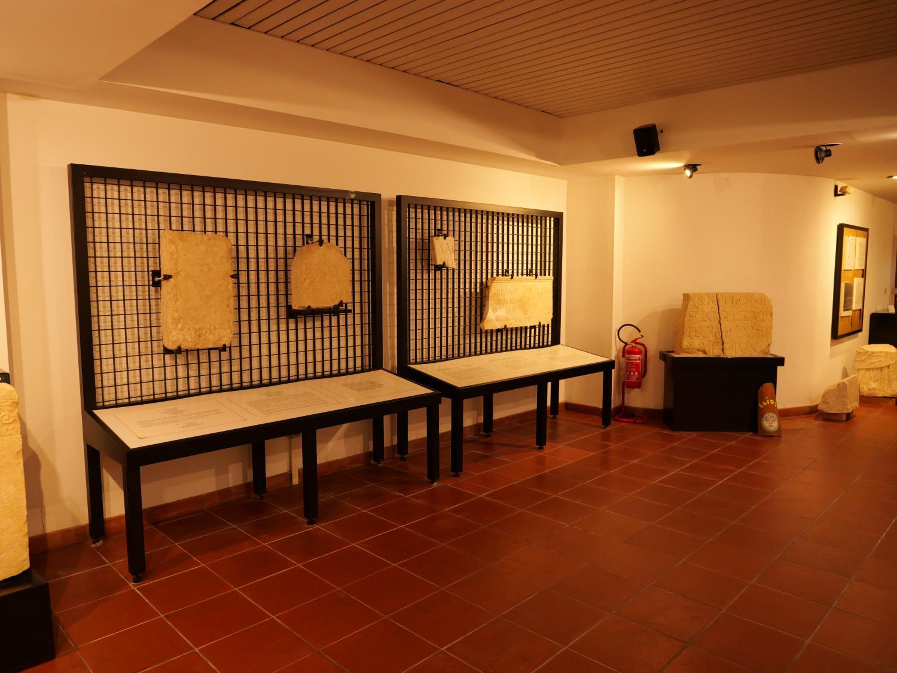 Photo 44