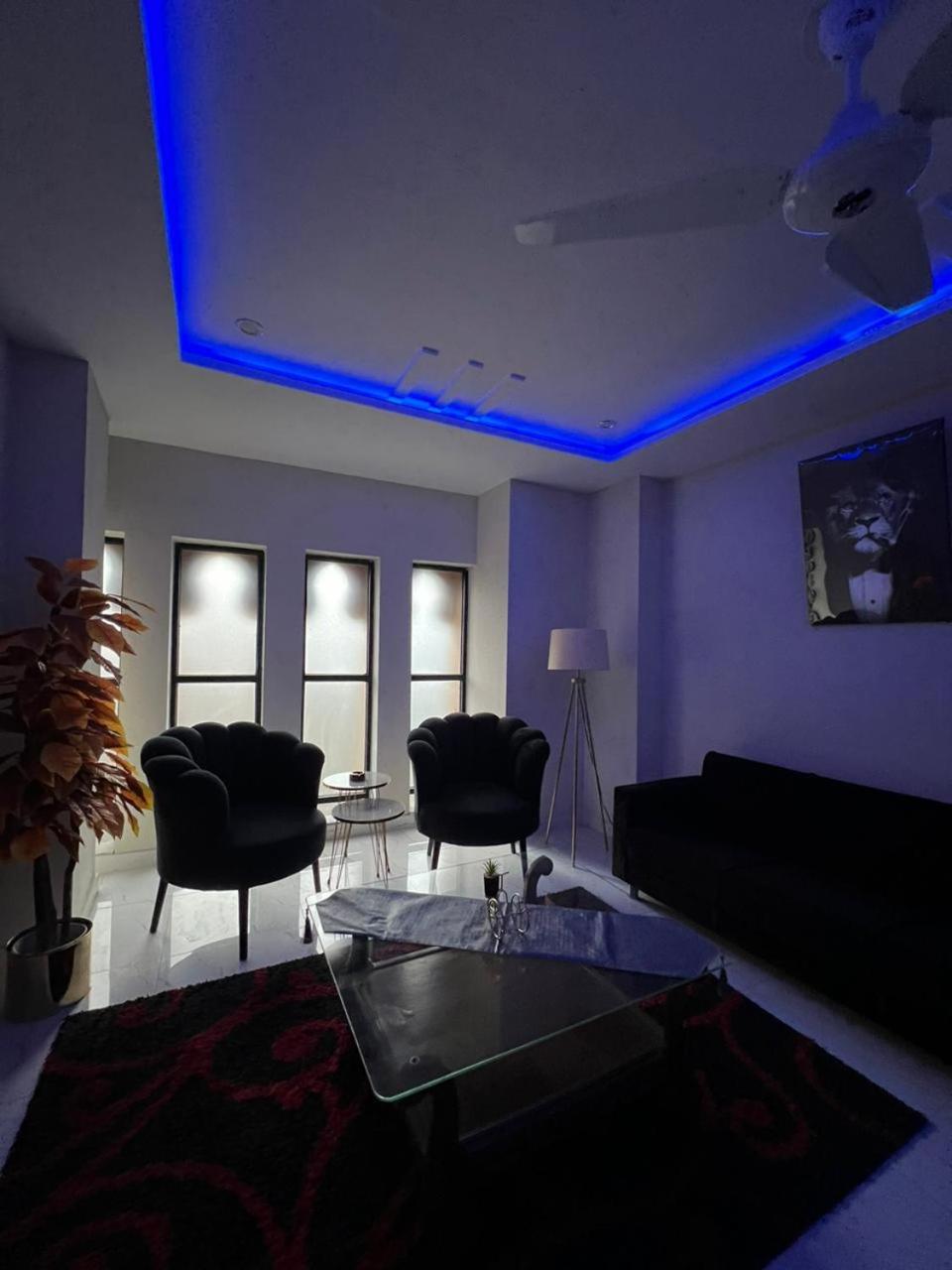 Bahria Town Luxury Apartments