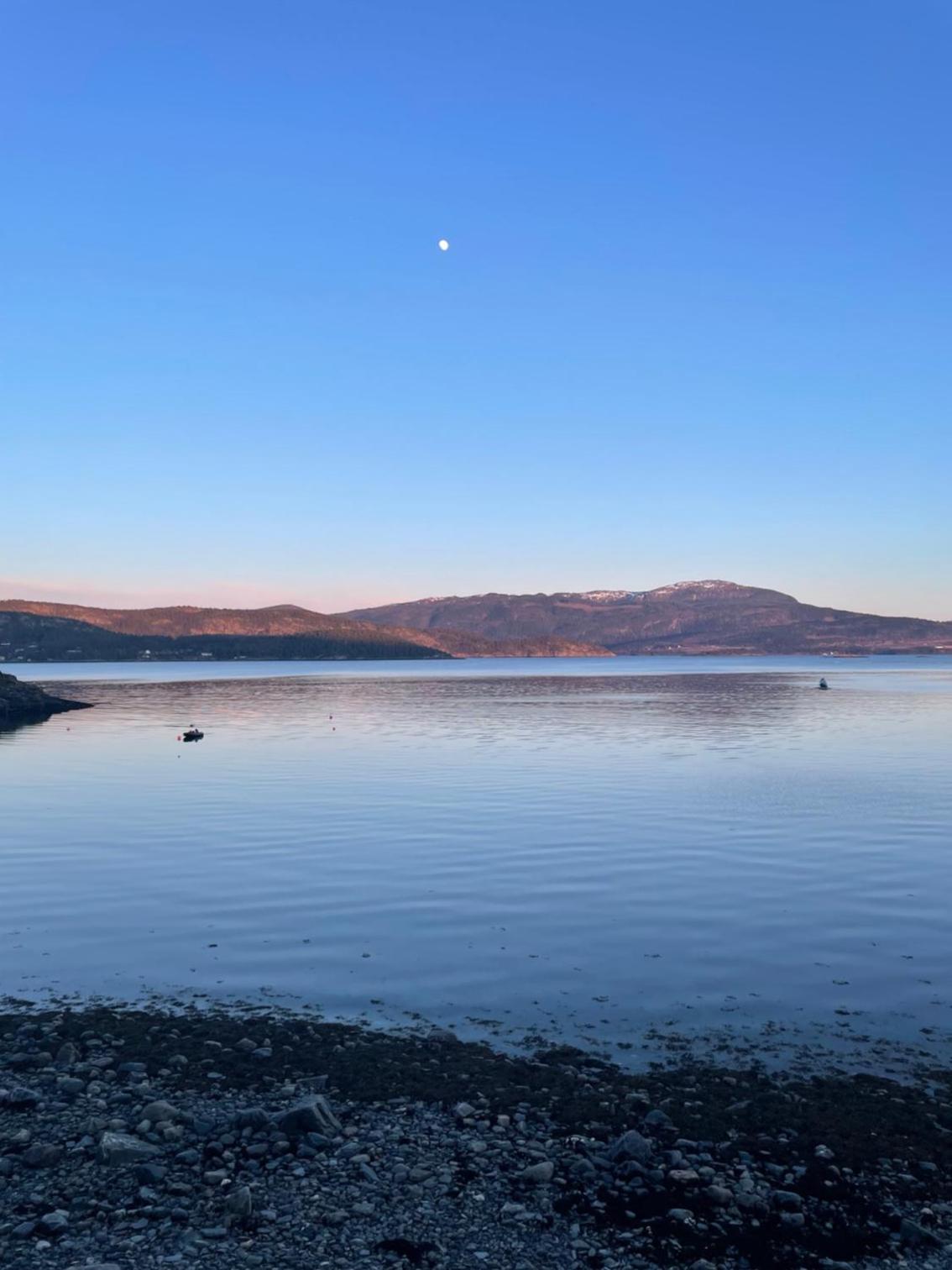 Vågen Fjordbuer - Henrybua