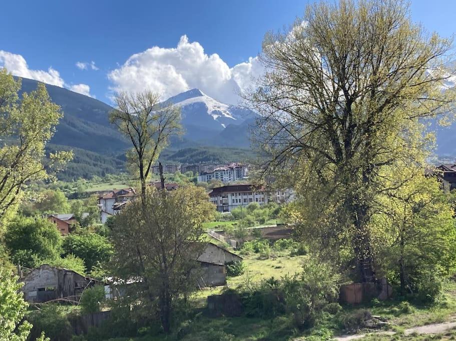 Bansko Vacations - Ruhig in den Bergen Bulgariens - Property Image 1