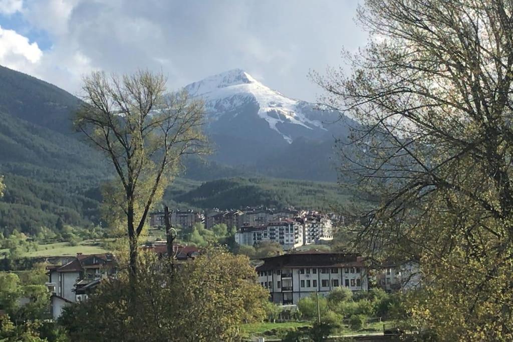 Bansko Vacations - Ruhig in den Bergen Bulgariens - Property Image 8