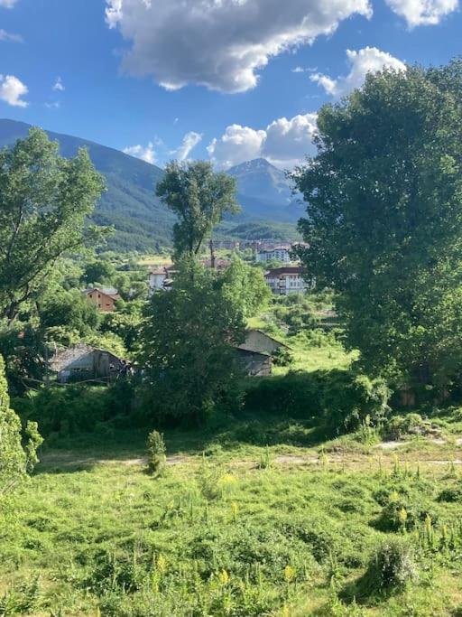 Bansko Vacations - Ruhig in den Bergen Bulgariens - Property Image 6