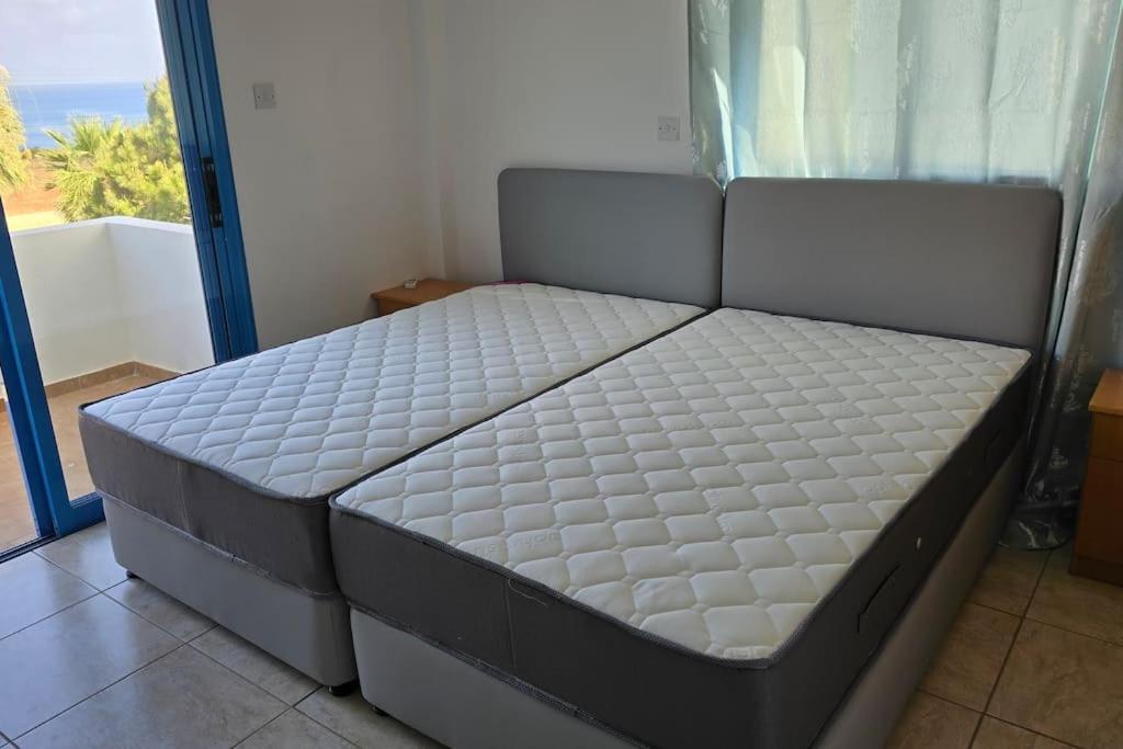 Queen Eyridiki Luxury Villa 1