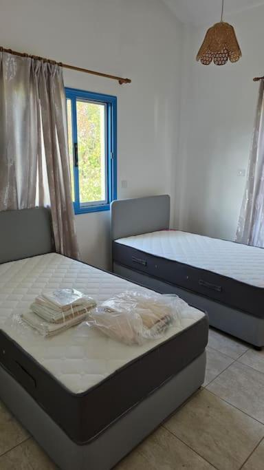Queen Eyridiki Luxury Villa 1
