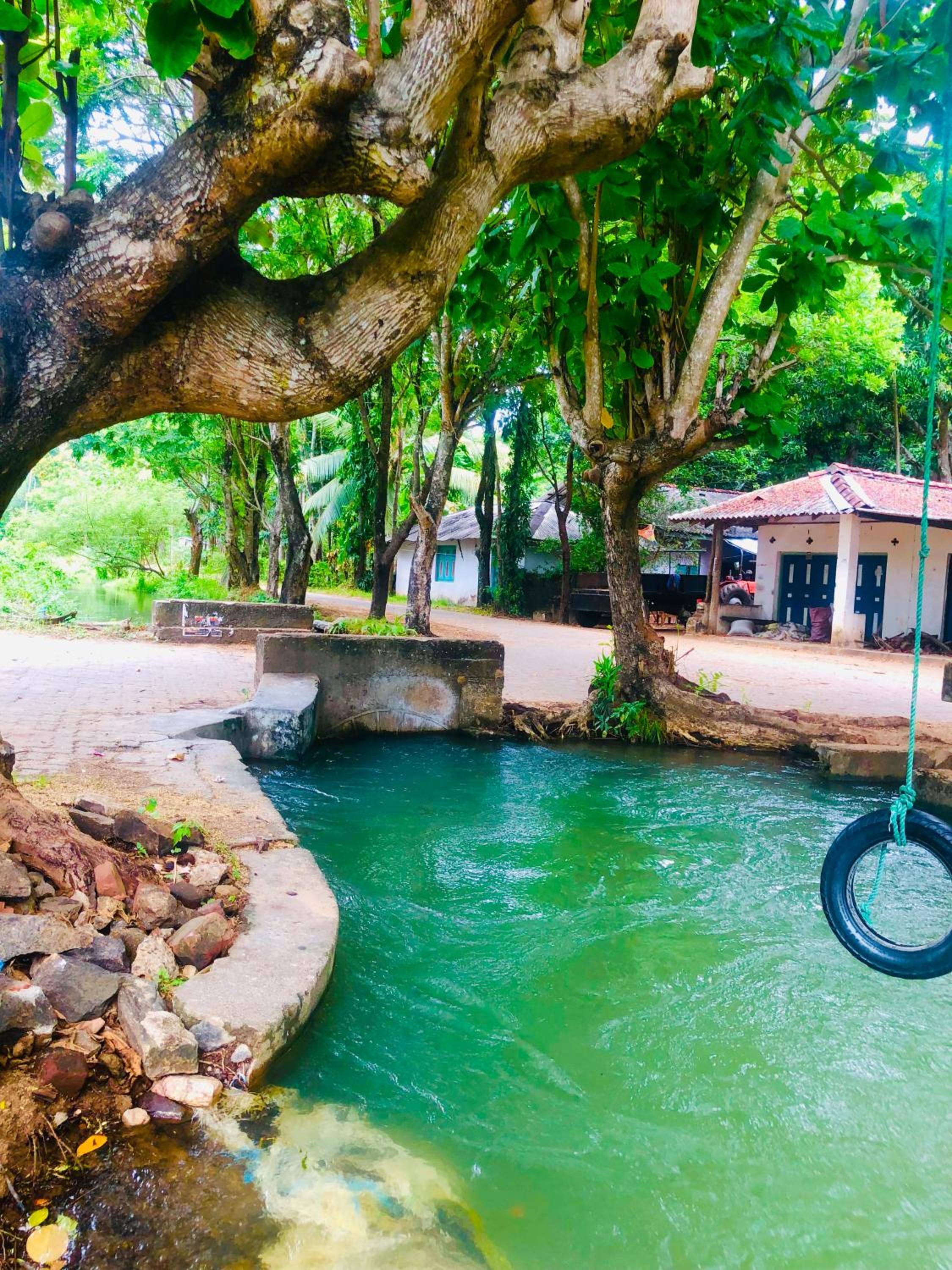 Village Vibes Homestay view 4