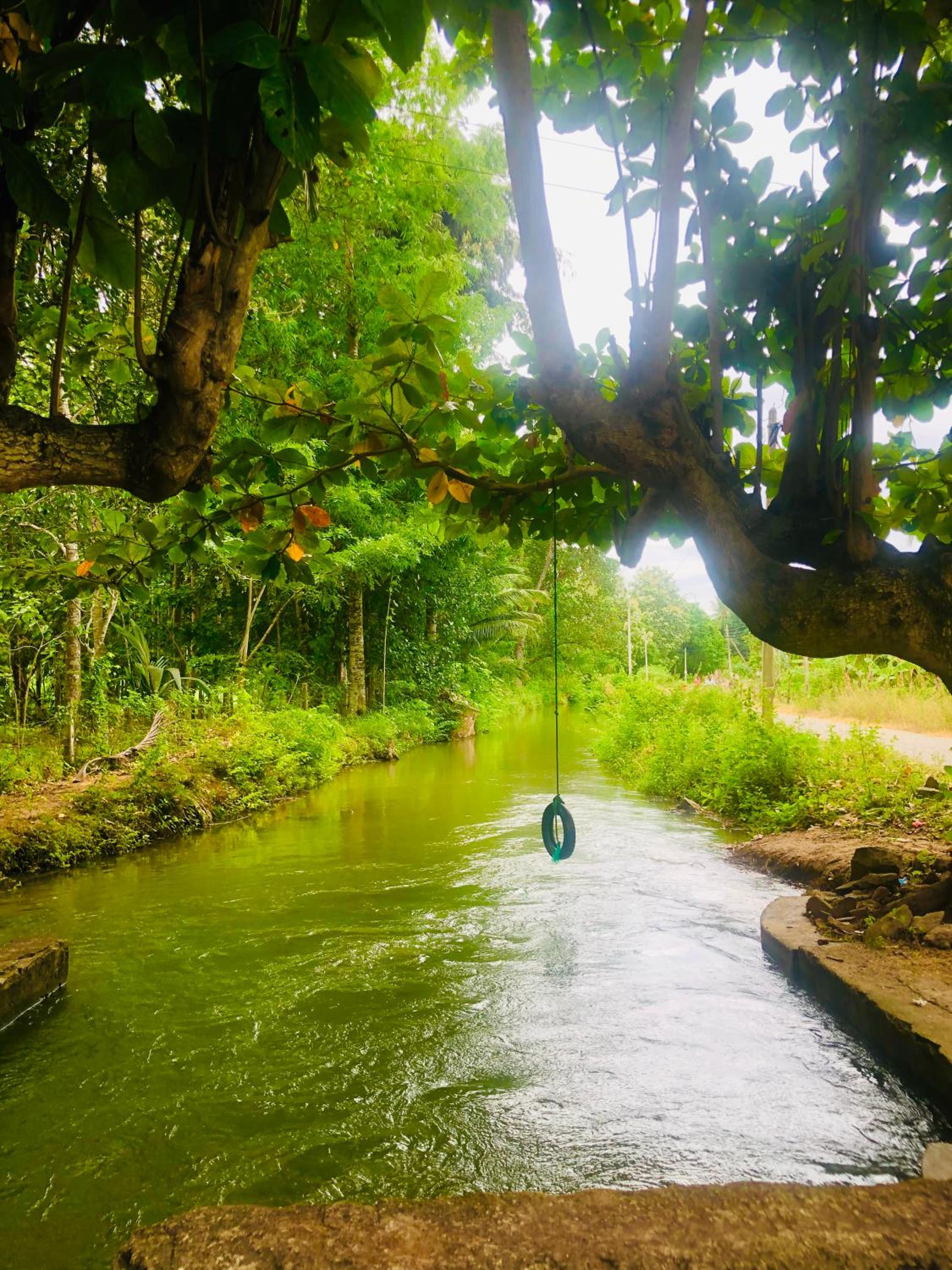 Village Vibes Homestay view 5