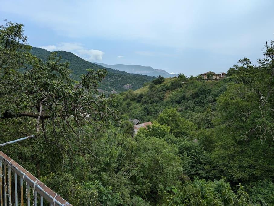 Willow house dilijan