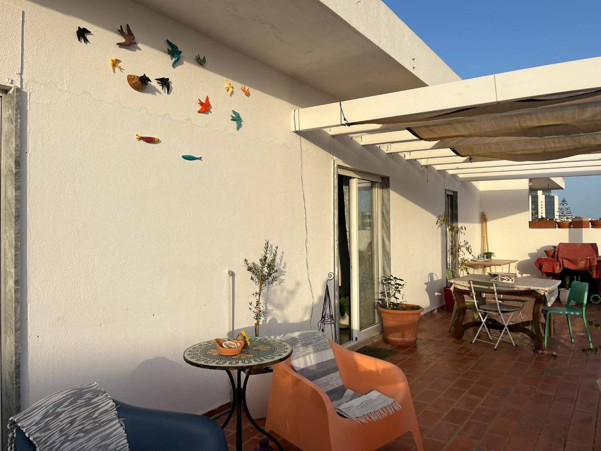balance & terrace